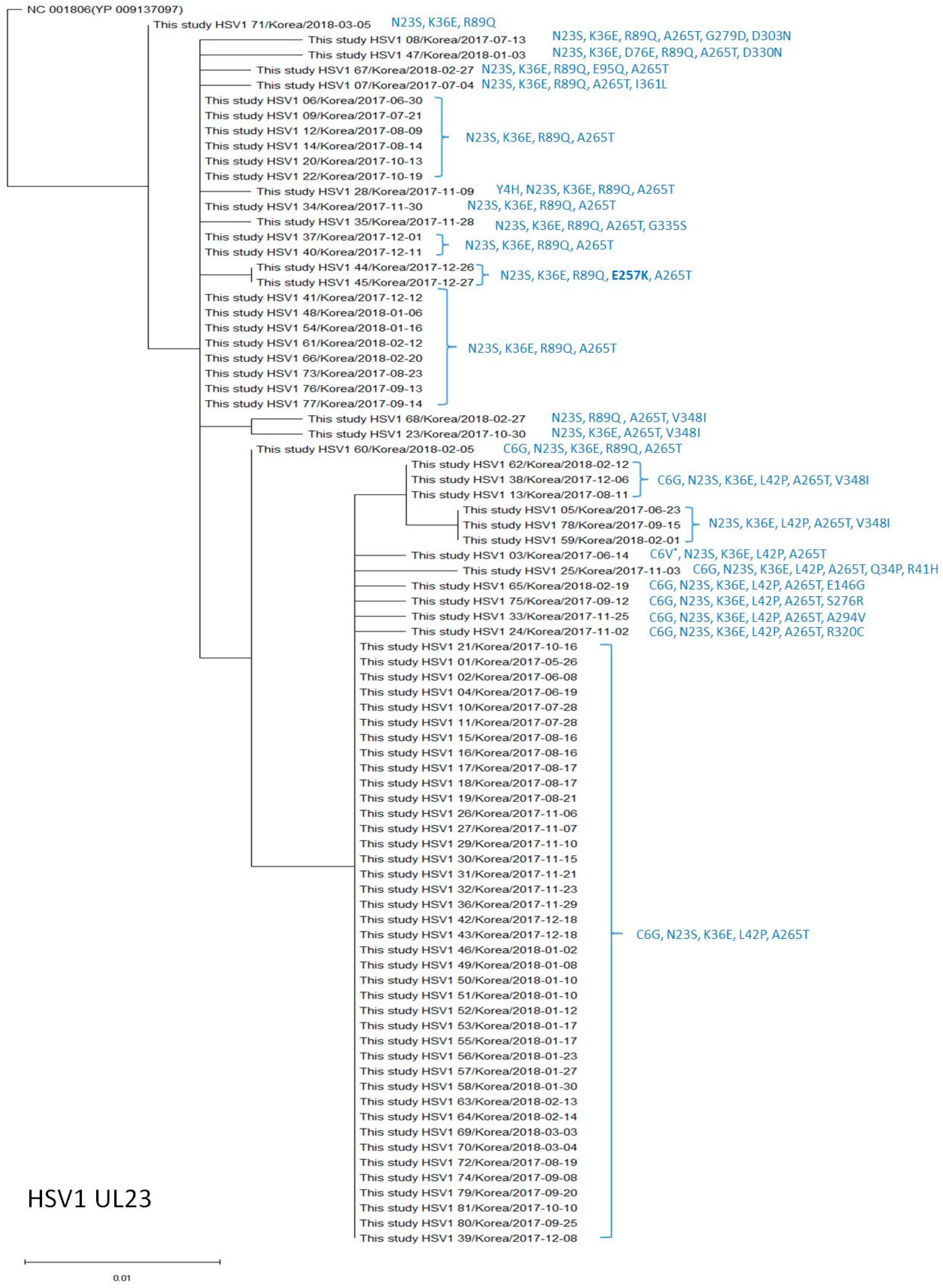 Viruses 15 01709 g001 Viruses 15 01709 g001