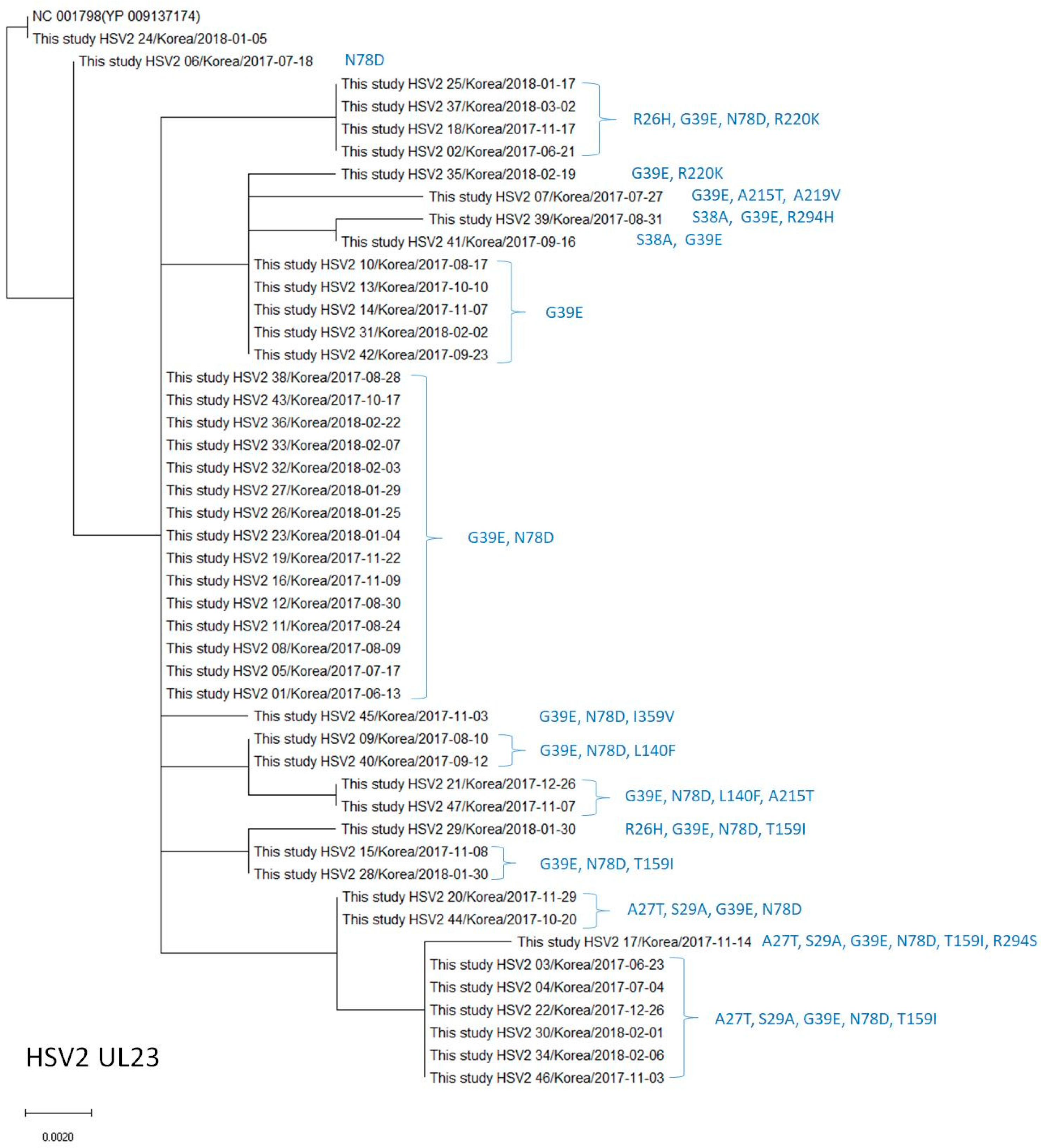 Viruses 15 01709 g003 Viruses 15 01709 g003