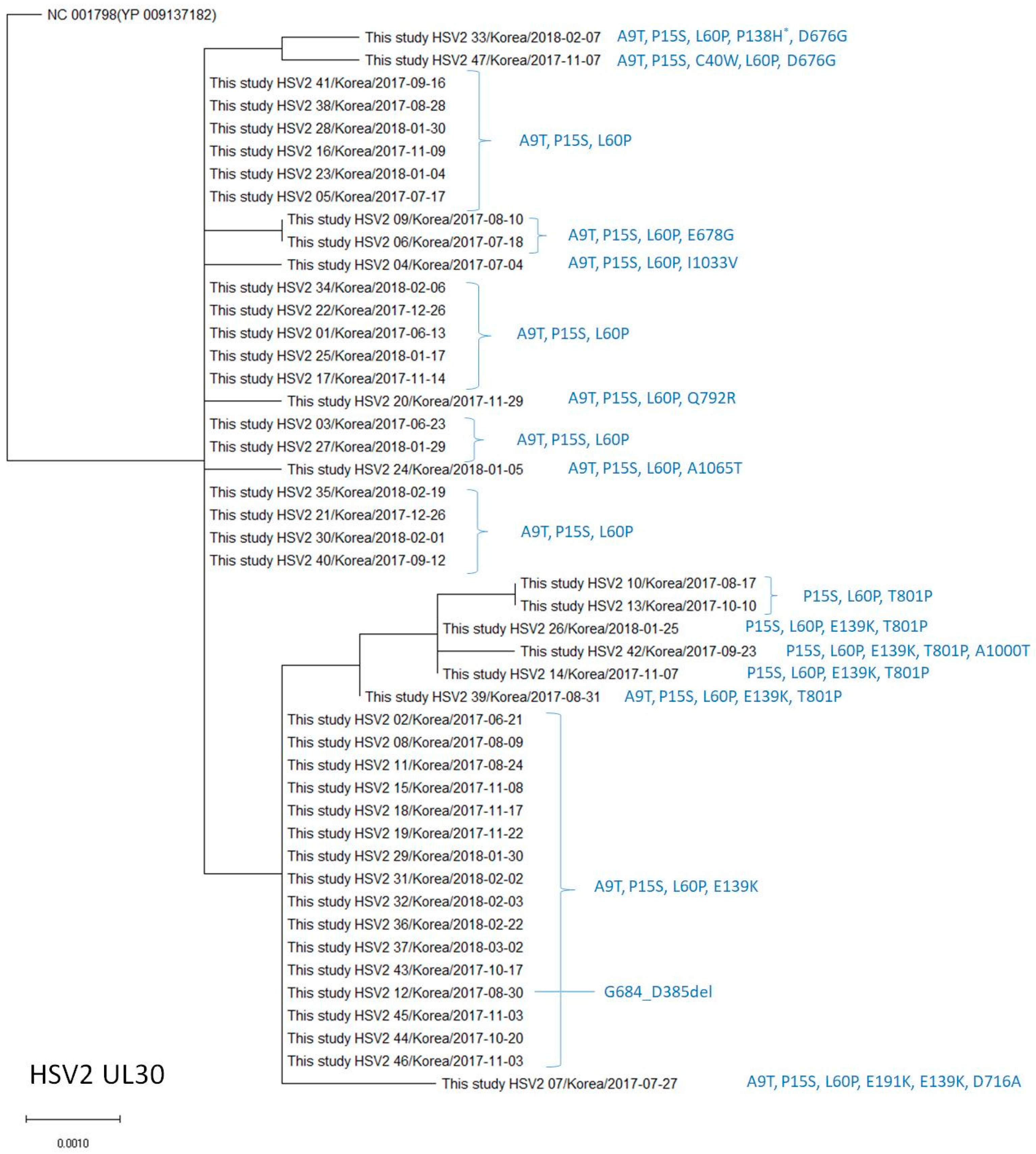 Viruses 15 01709 g004 Viruses 15 01709 g004