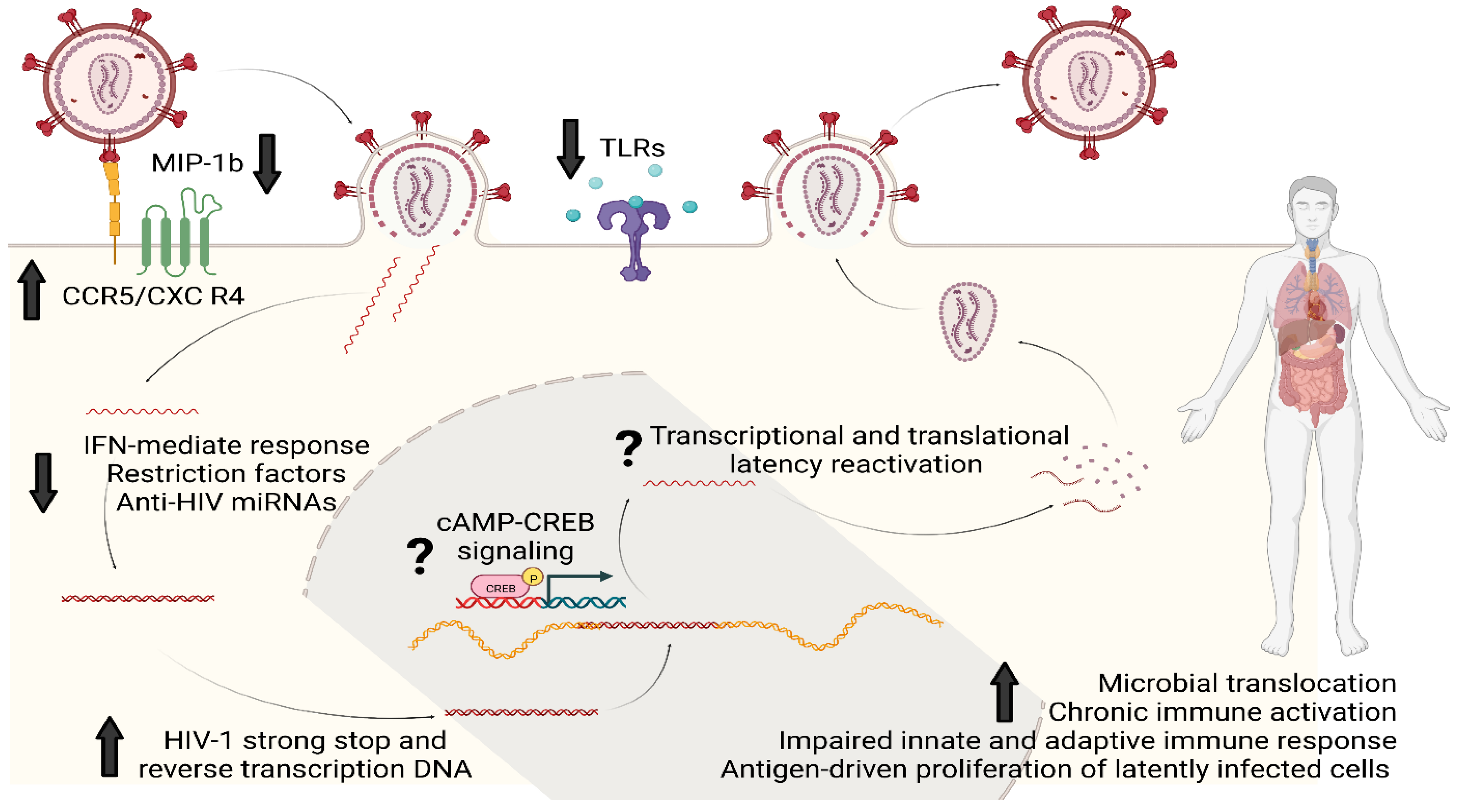 Viruses 15 01712 g002 Viruses 15 01712 g002