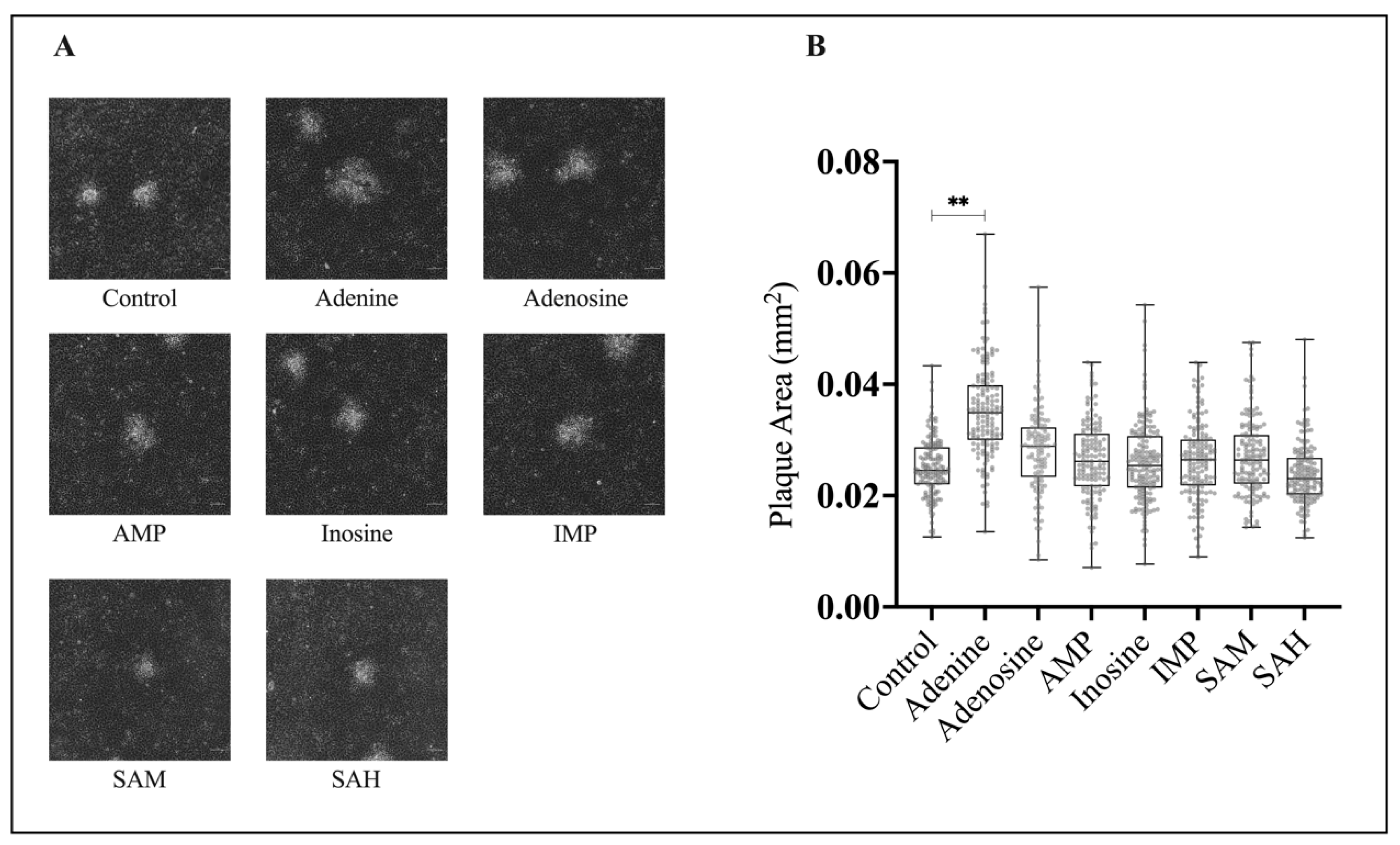 Viruses 15 01716 g003 Viruses 15 01716 g003