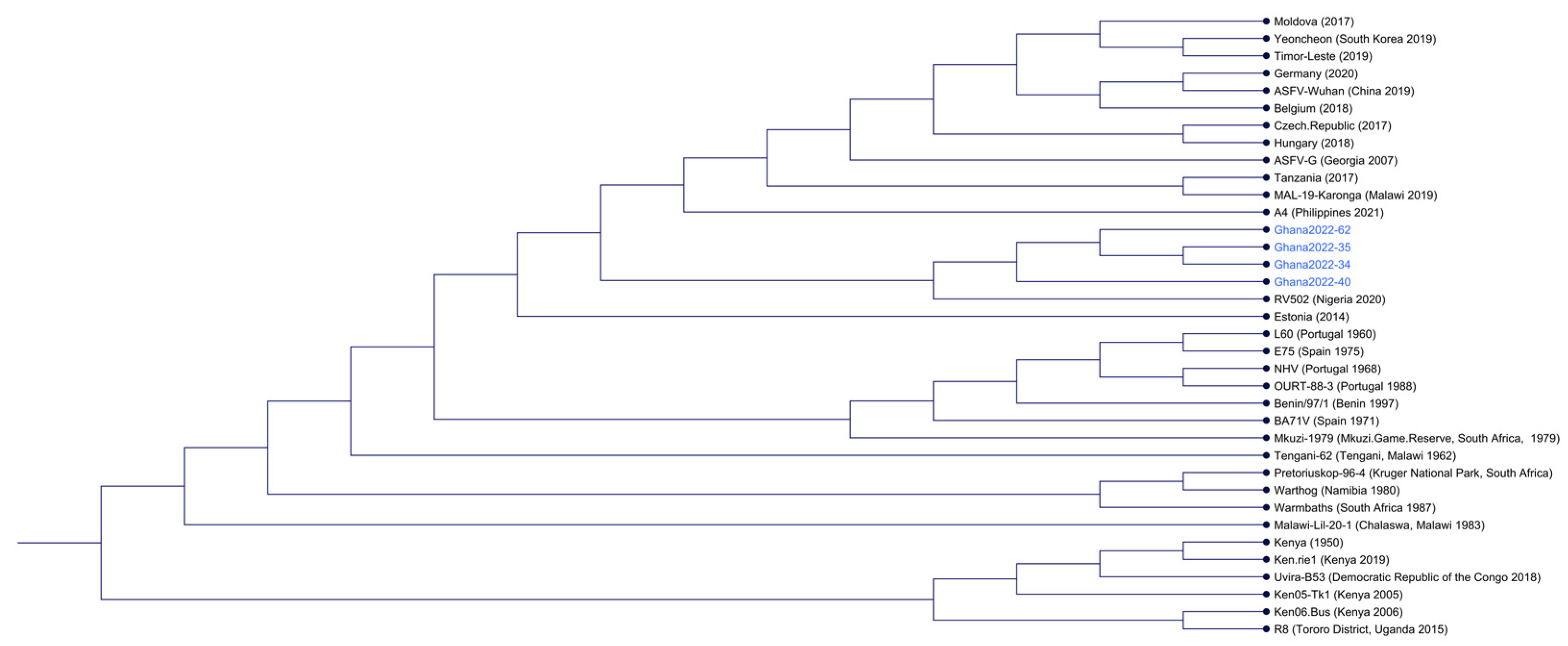 Viruses 15 01722 g002 Viruses 15 01722 g002