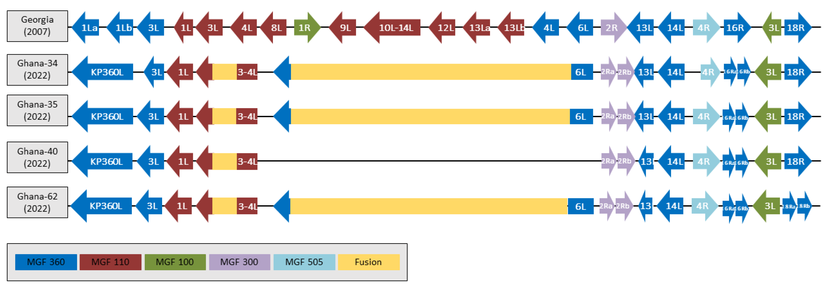 Viruses 15 01722 g003 Viruses 15 01722 g003