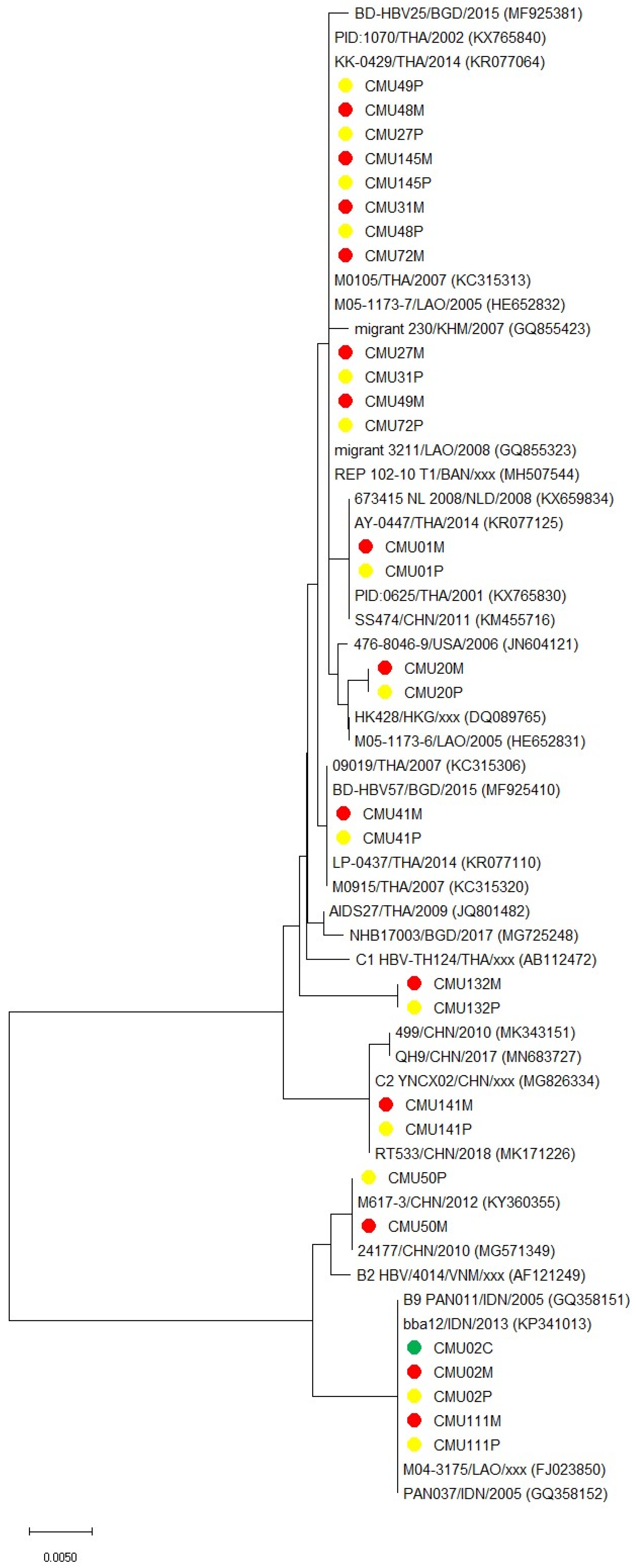 Viruses 15 01729 g001