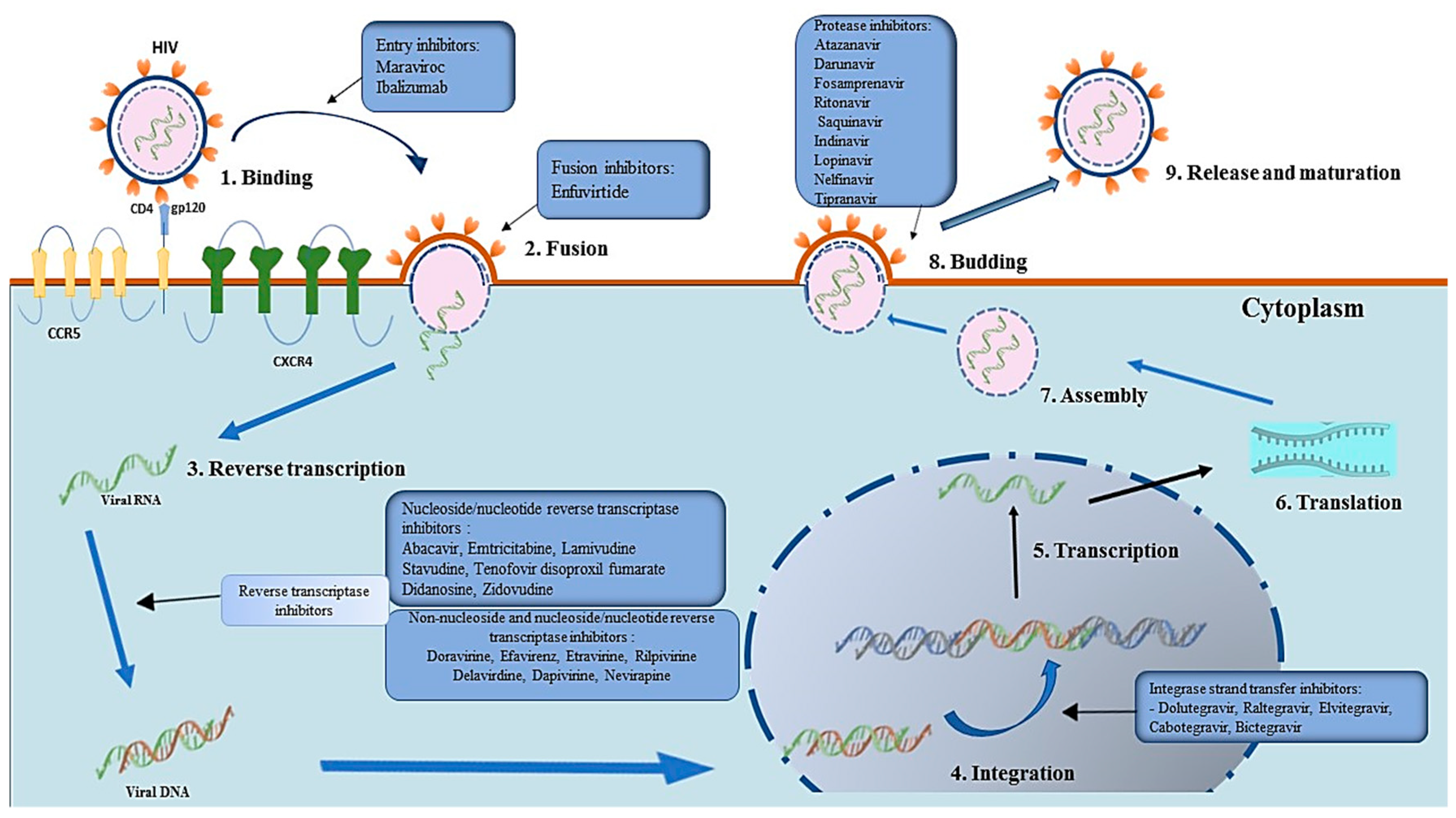 Viruses 15 01732 g002 Viruses 15 01732 g002