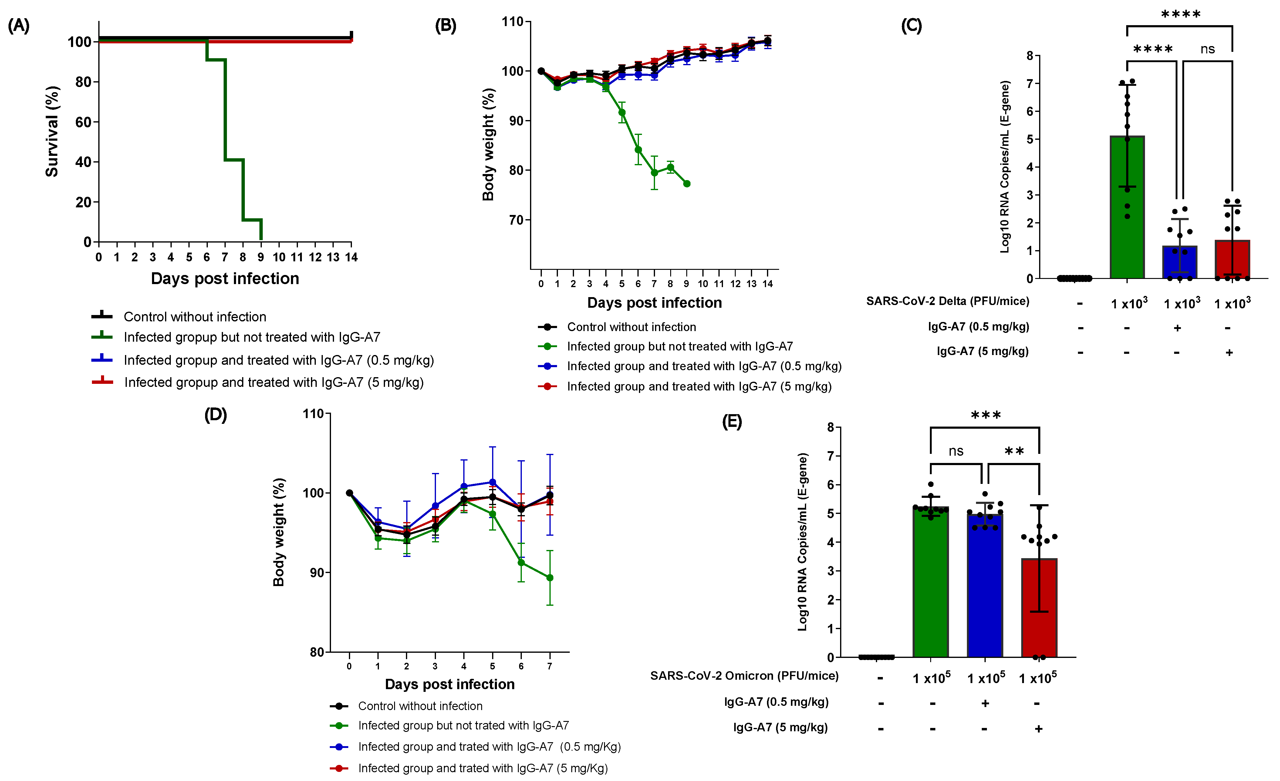 Viruses 15 01733 g001 Viruses 15 01733 g001