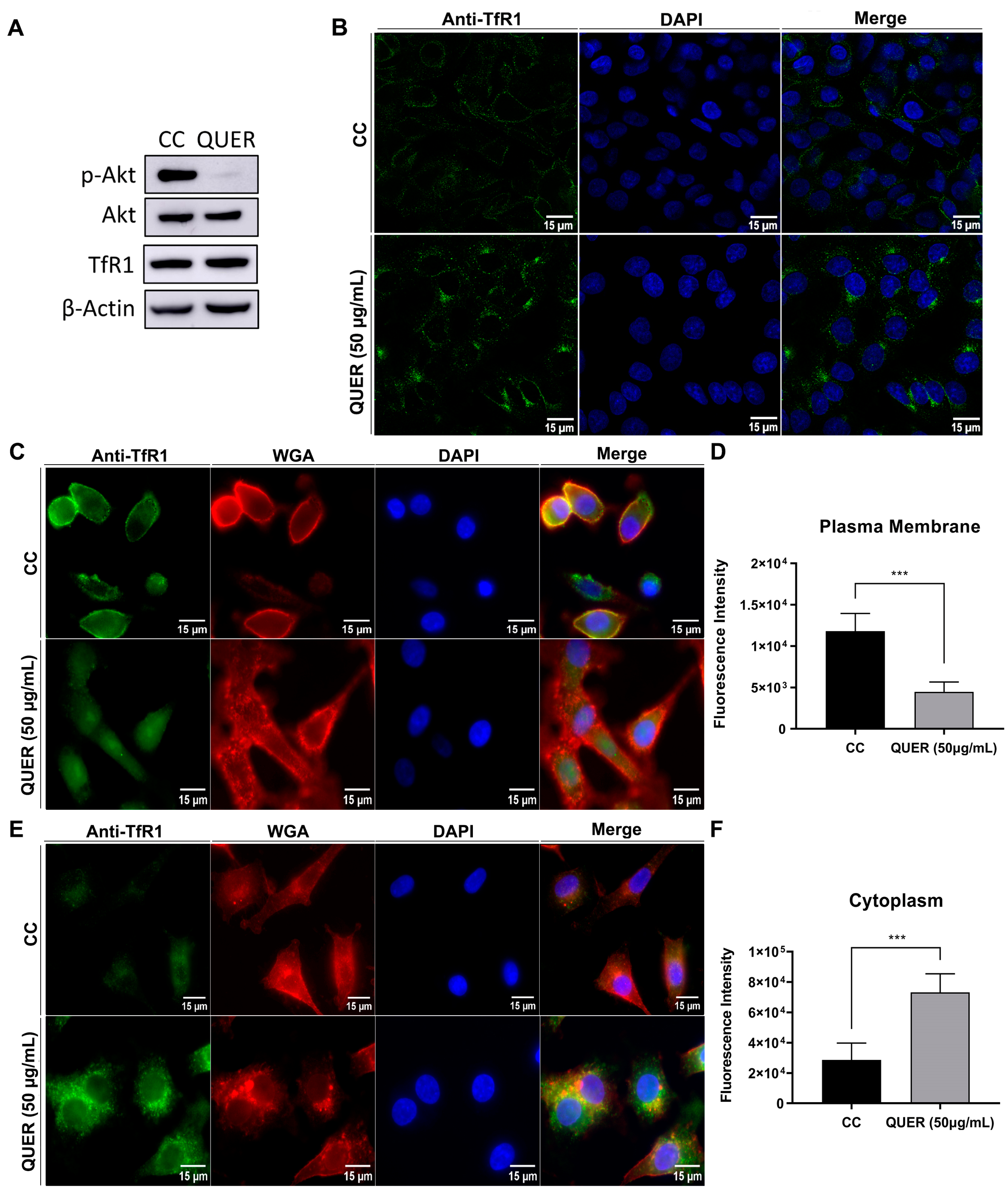 Viruses 15 01741 g006 Viruses 15 01741 g006
