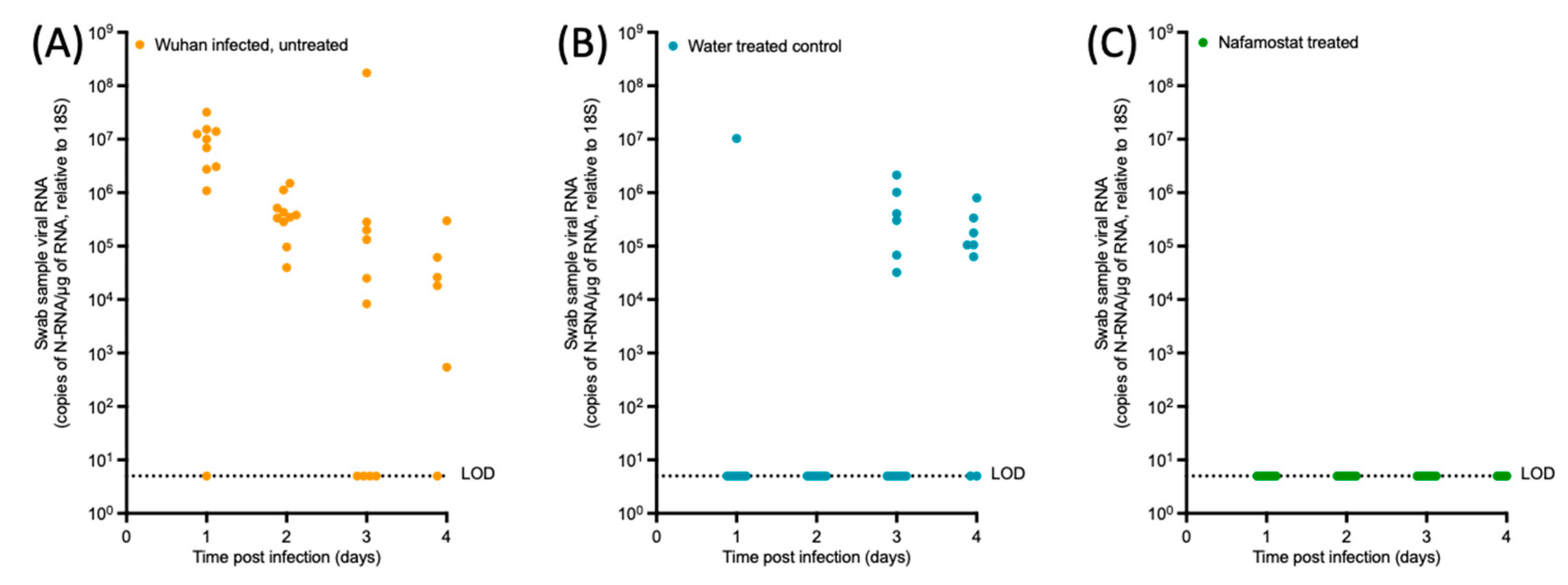 Viruses 15 01744 g004