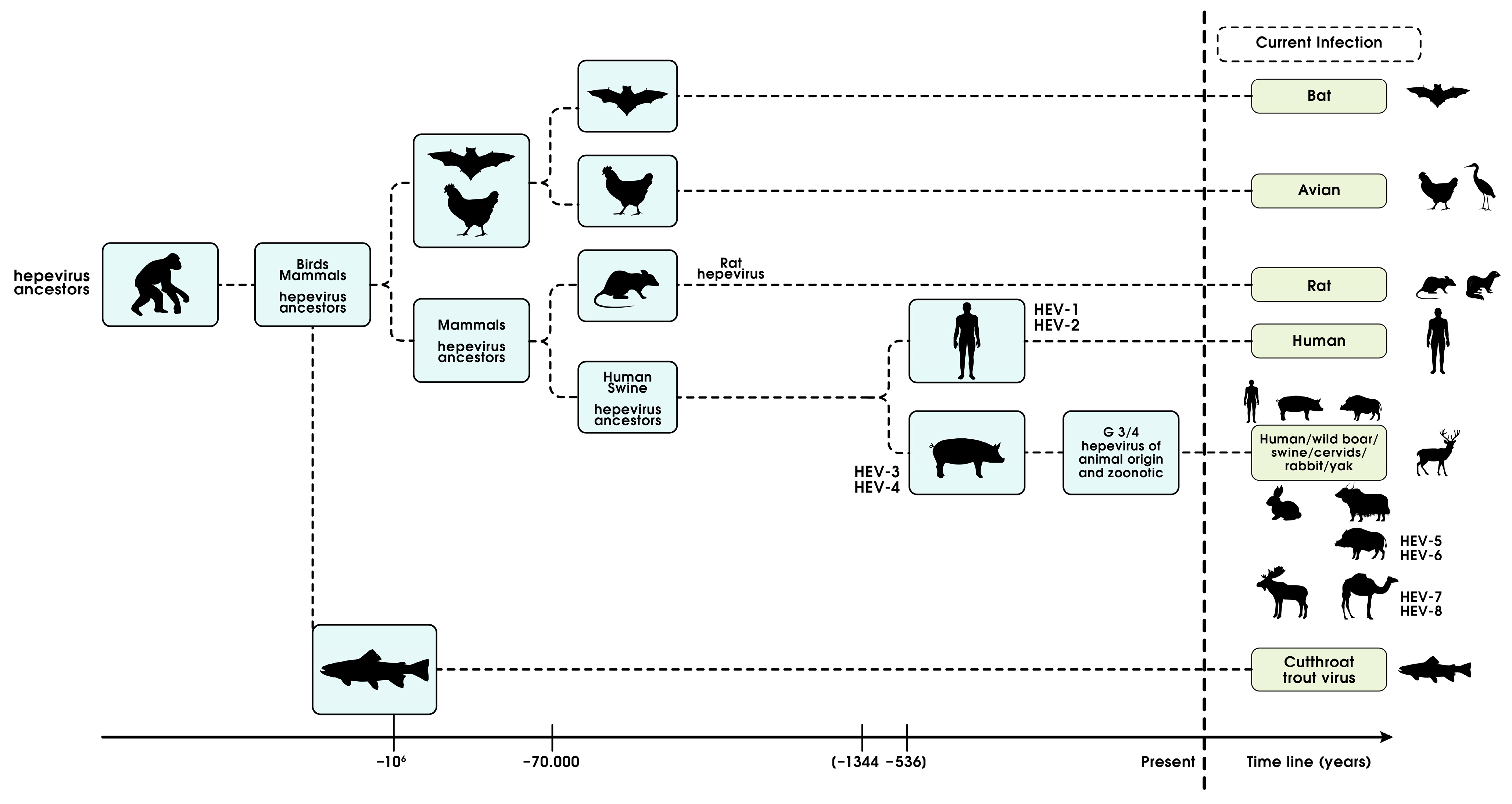 Viruses 15 01745 g008 Viruses 15 01745 g008