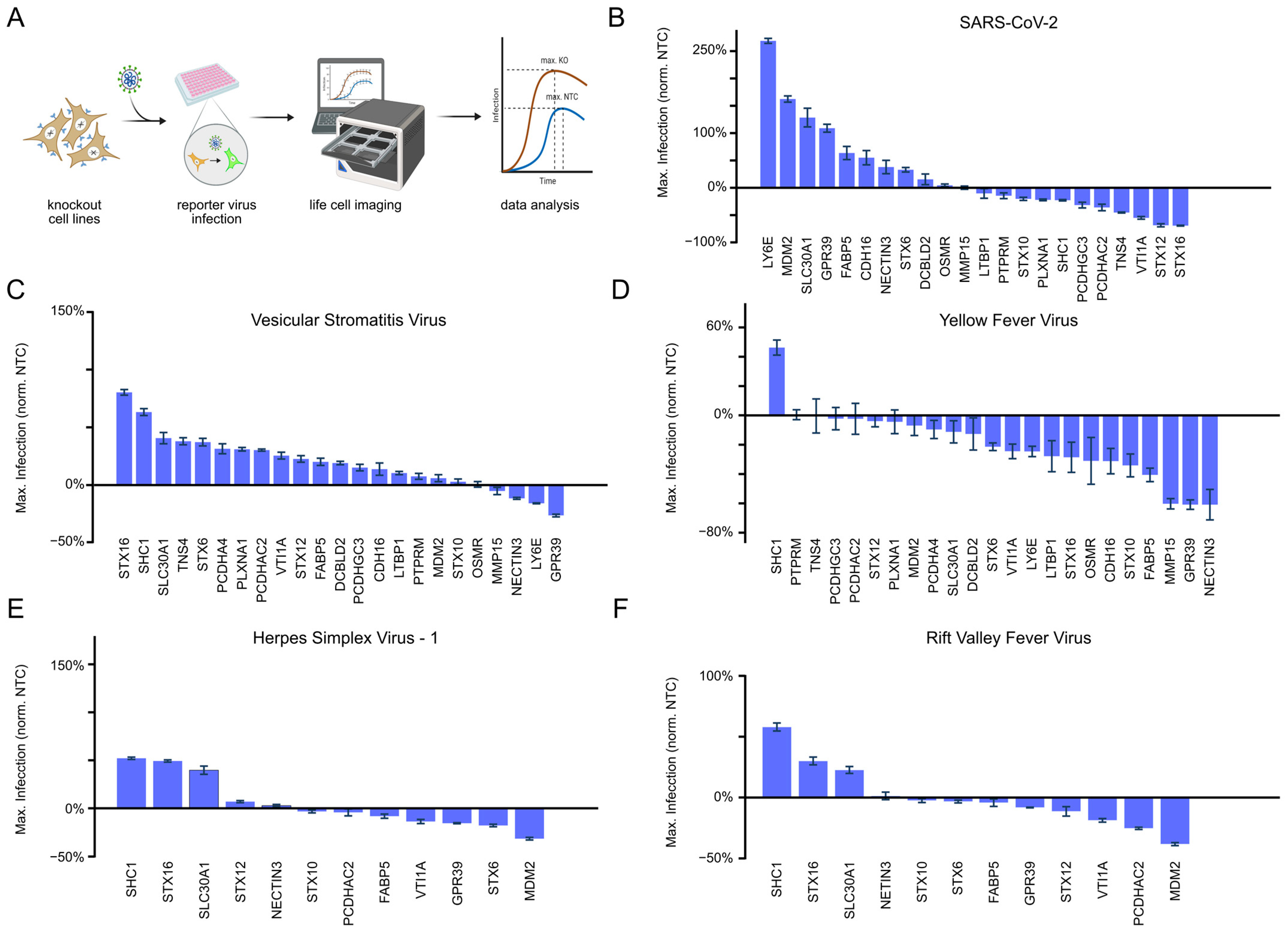 Viruses 15 01763 g001