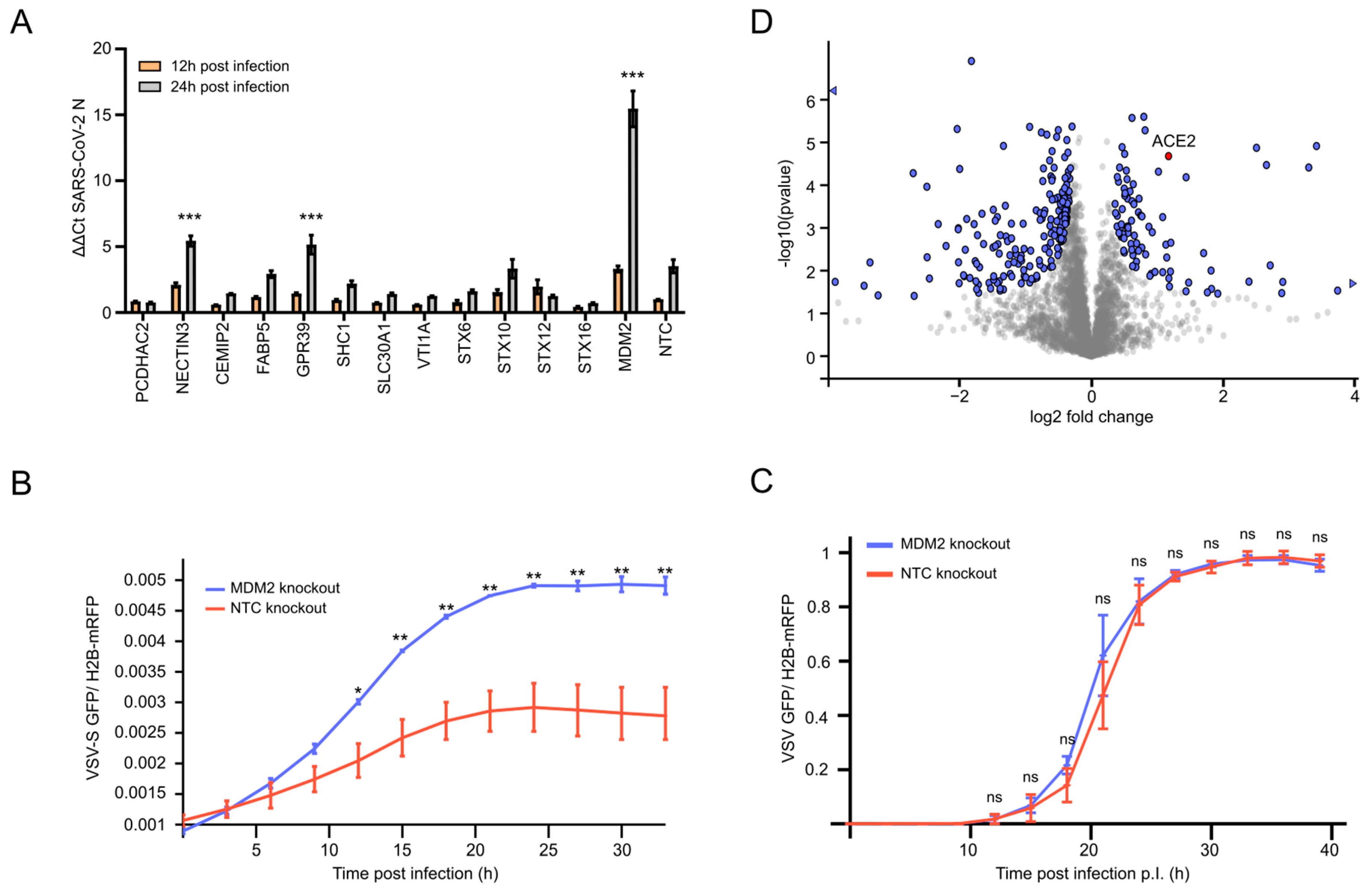 Viruses 15 01763 g002