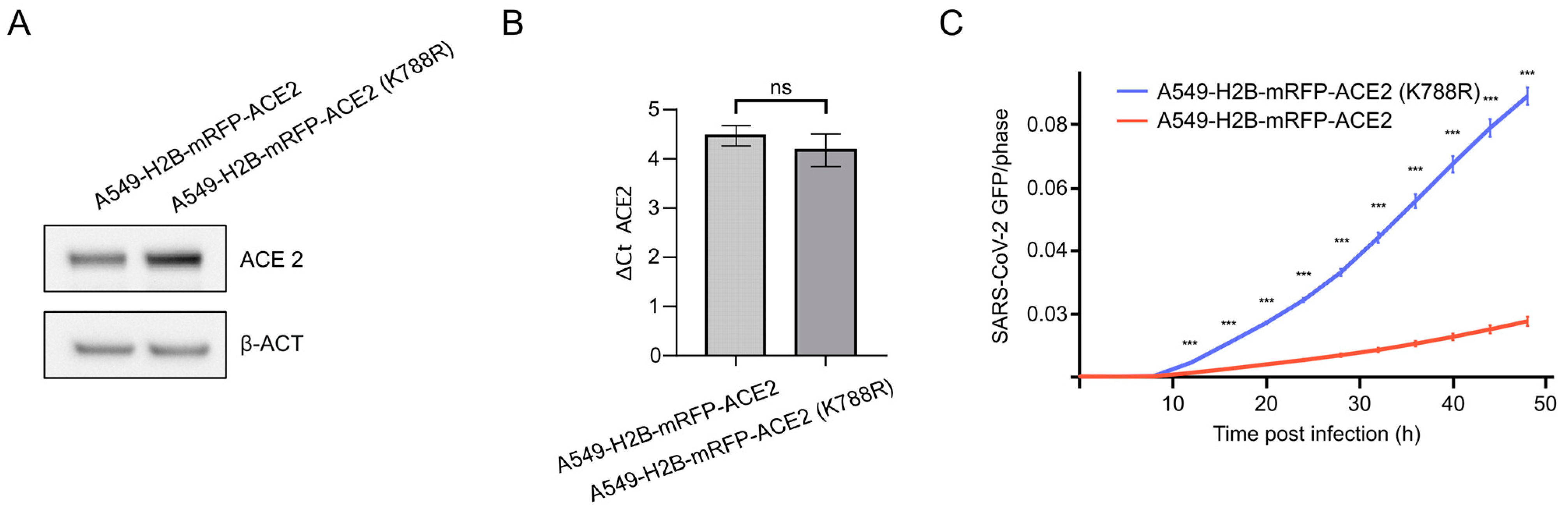 Viruses 15 01763 g003