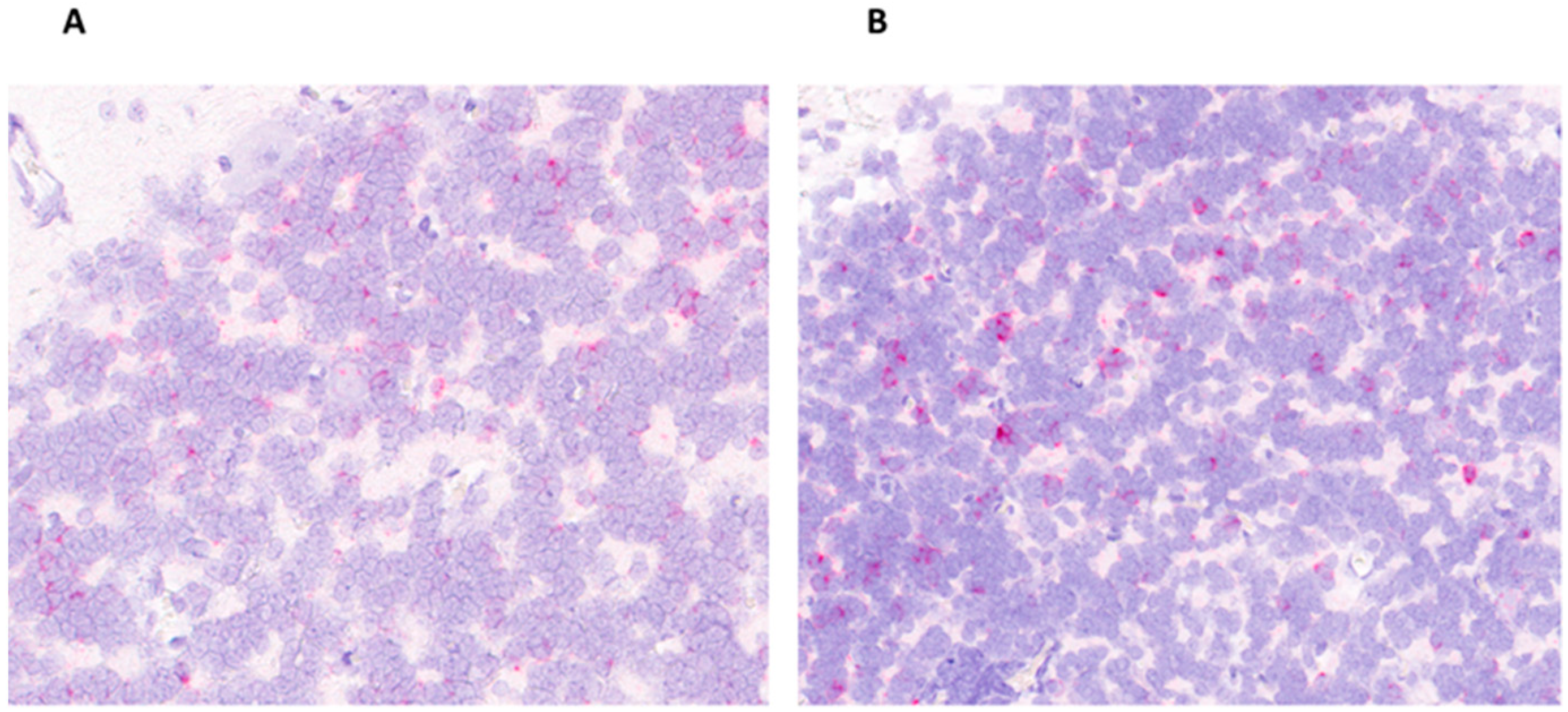 Viruses 15 01767 g004