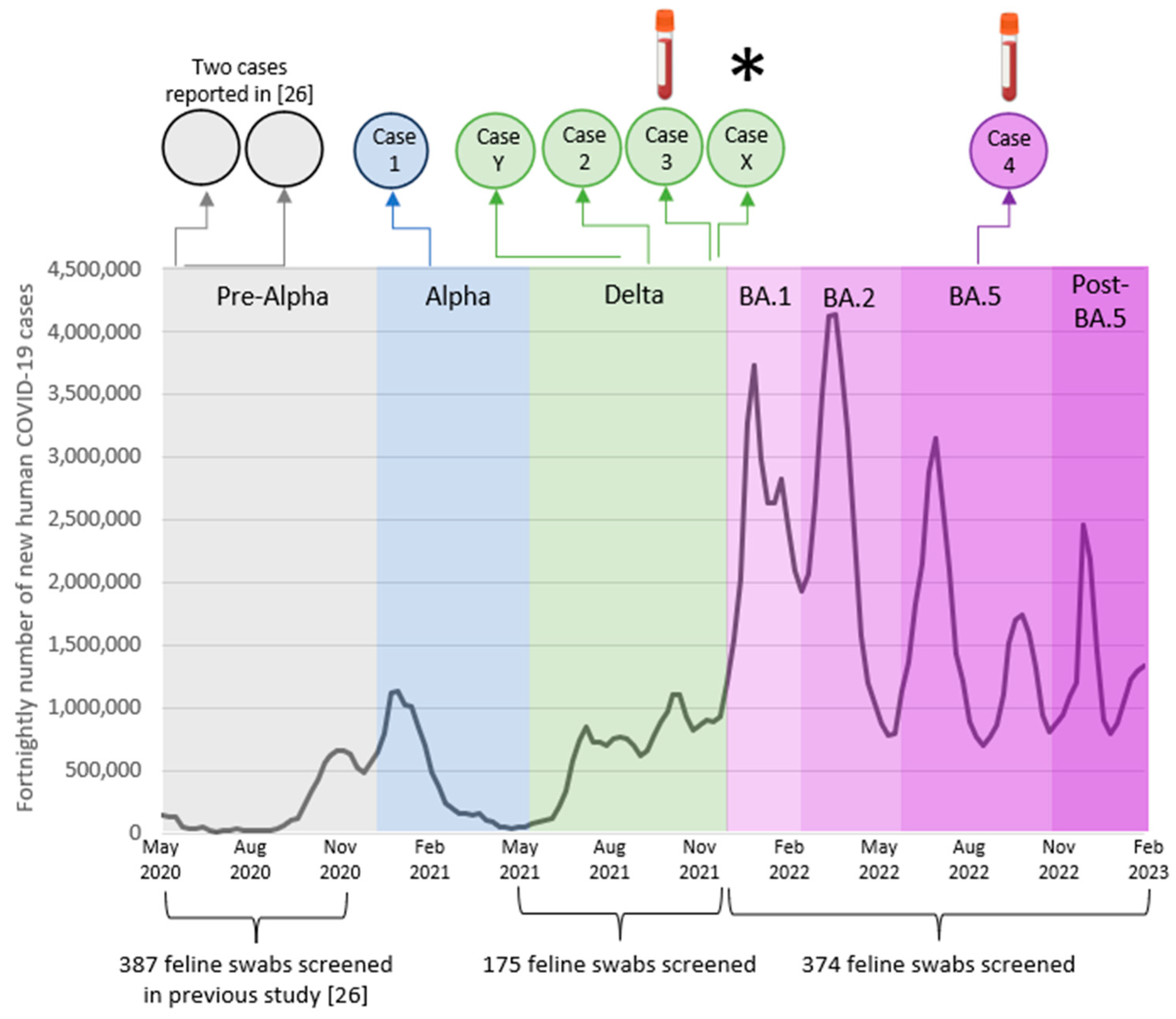 Viruses 15 01769 g001