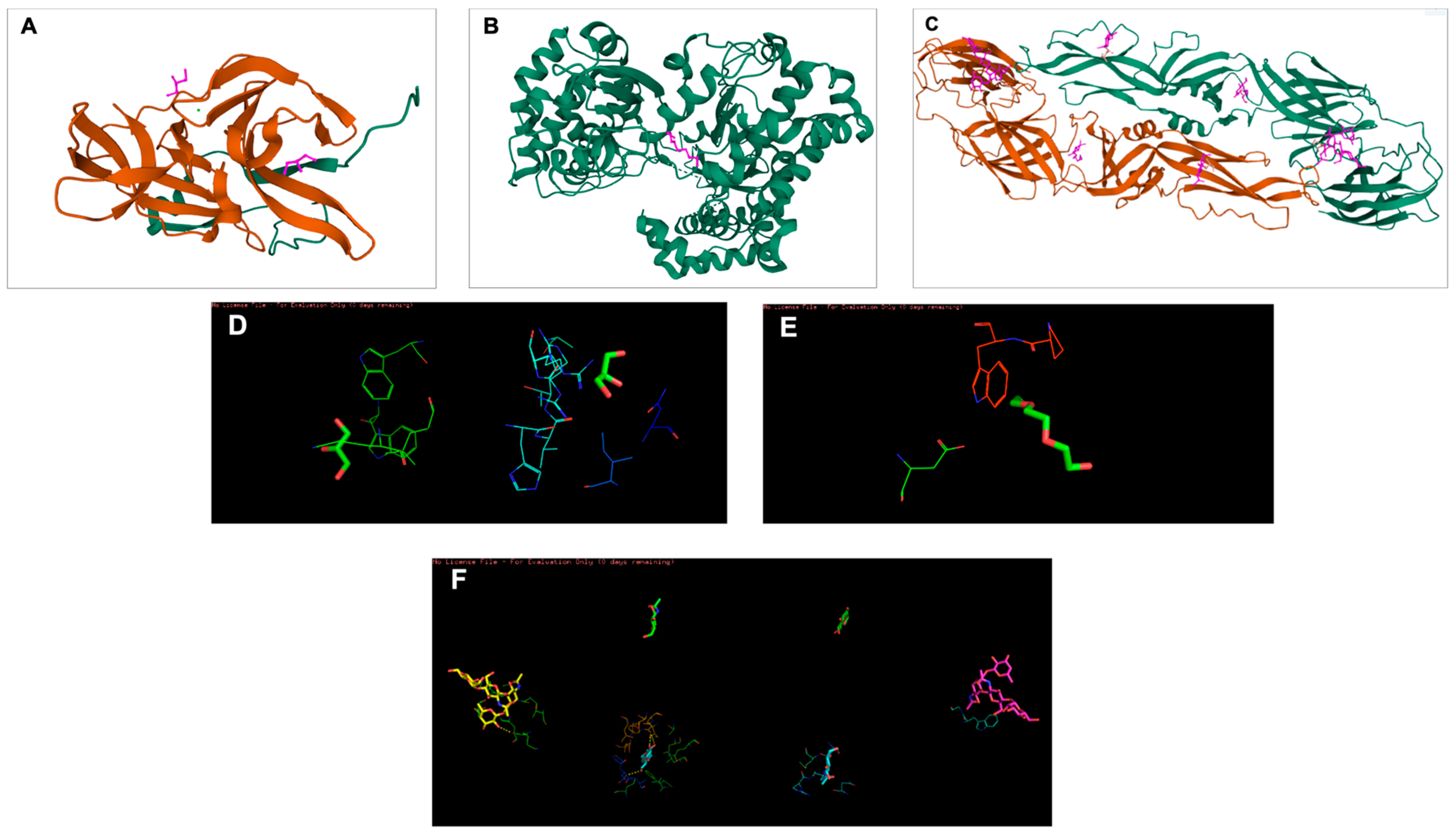 Viruses 15 01773 g002