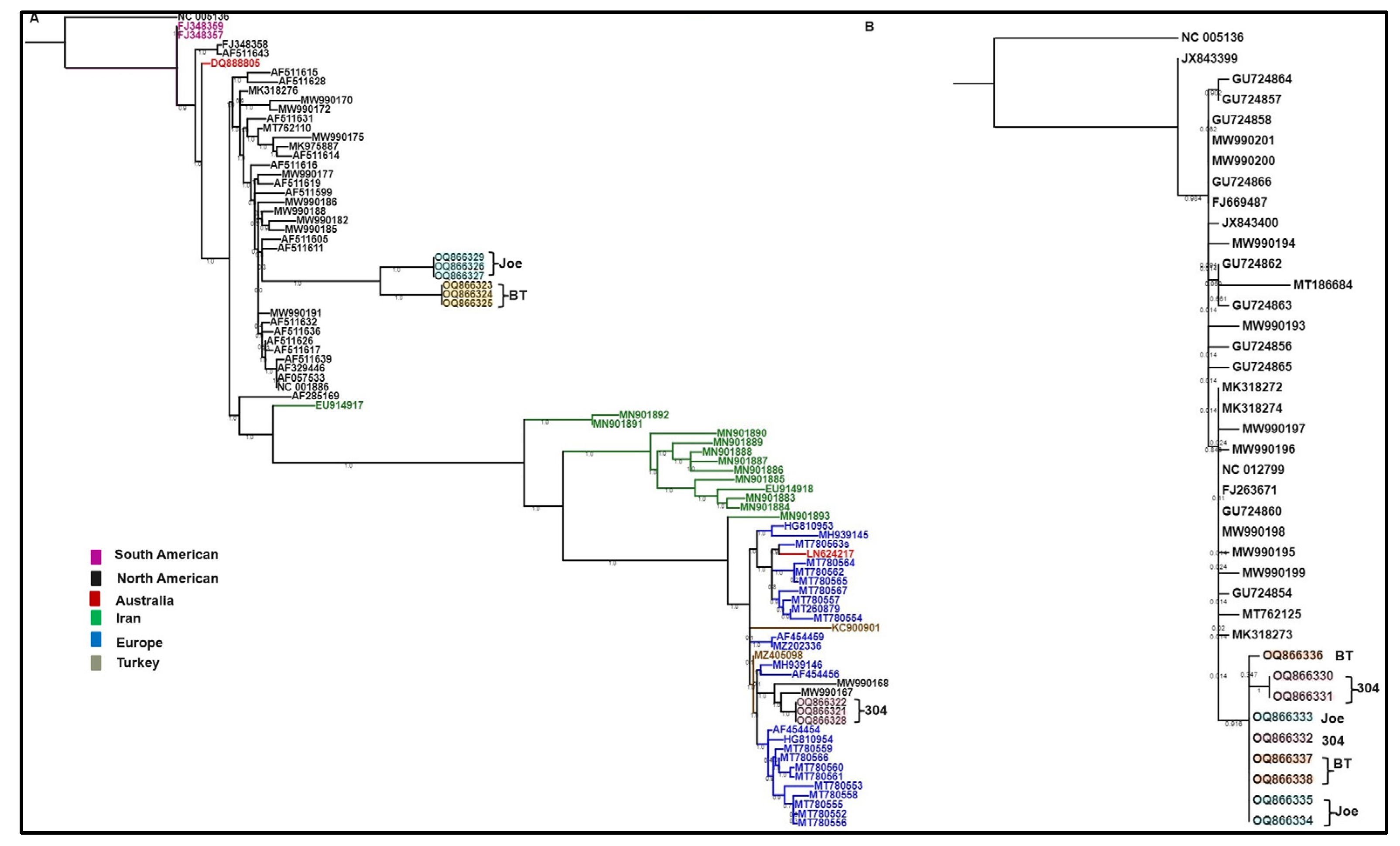 Viruses 15 01774 g002