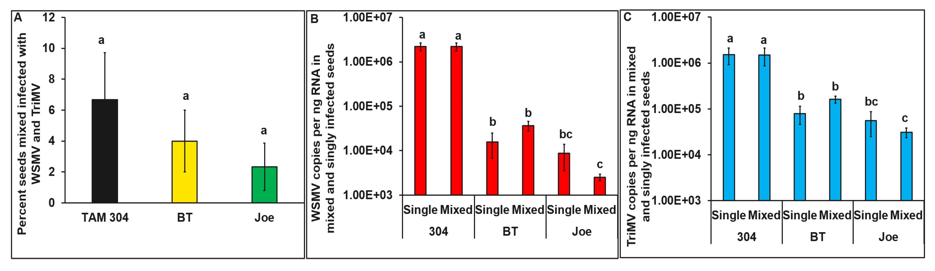 Viruses 15 01774 g004