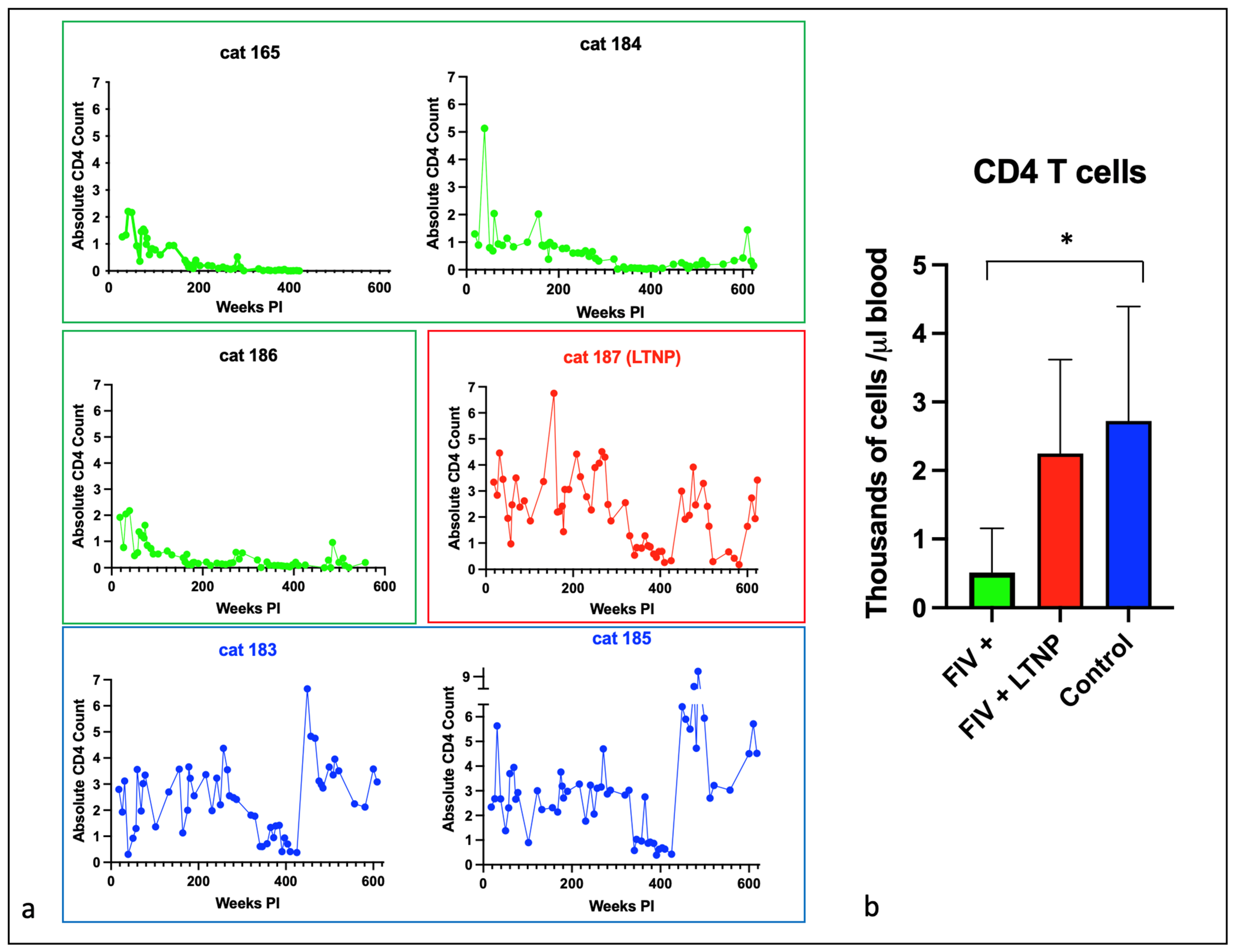 Viruses 15 01775 g002