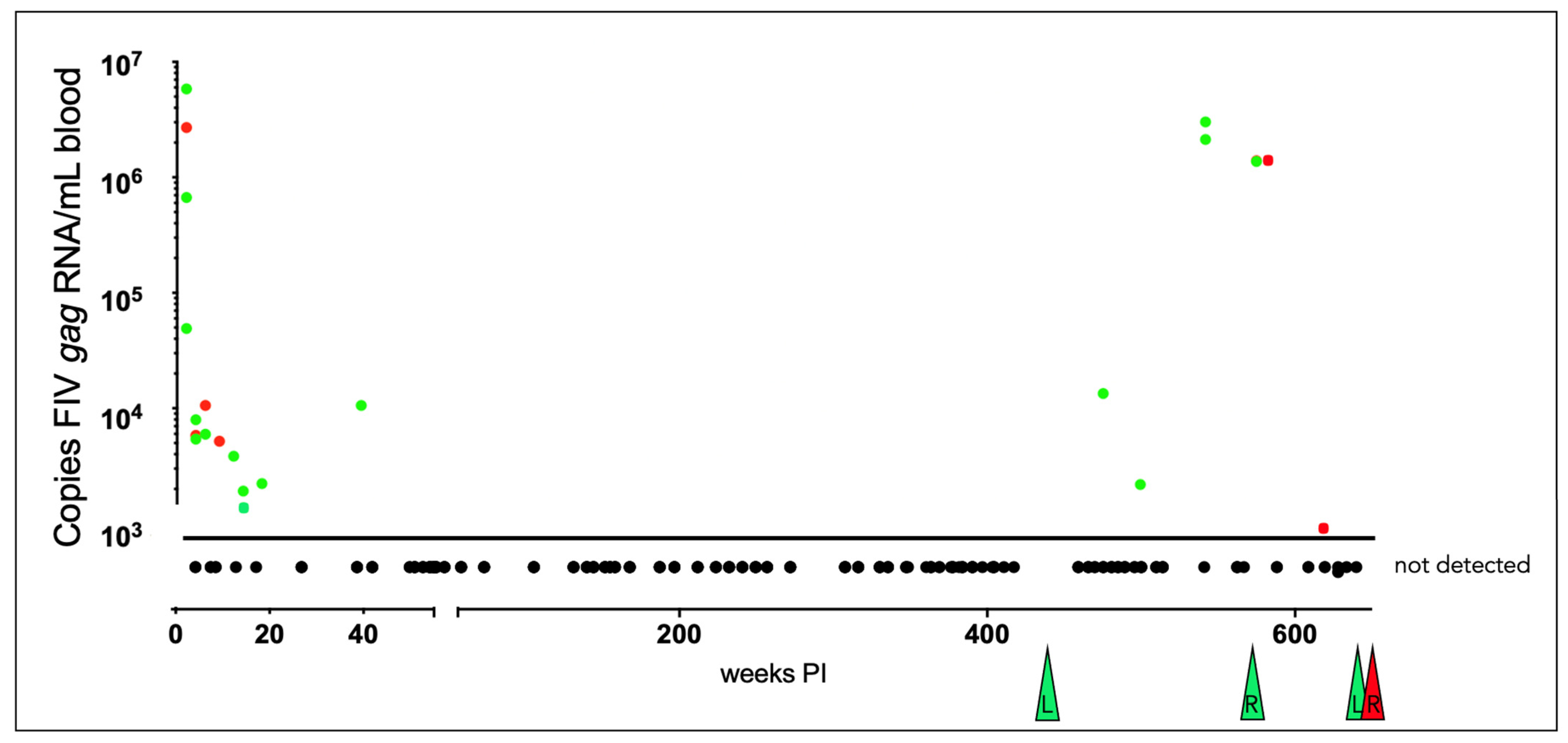Viruses 15 01775 g005
