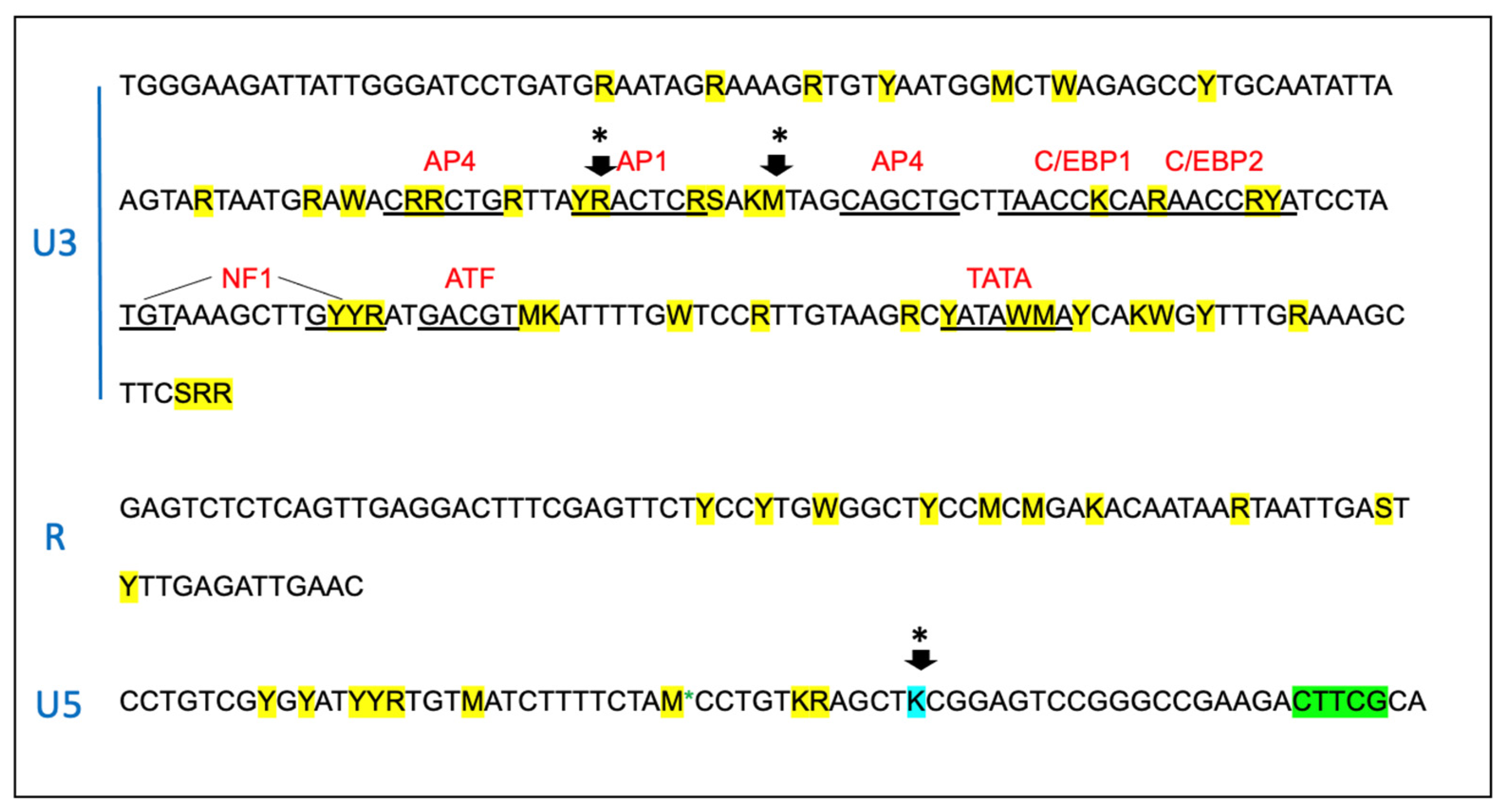 Viruses 15 01775 g006
