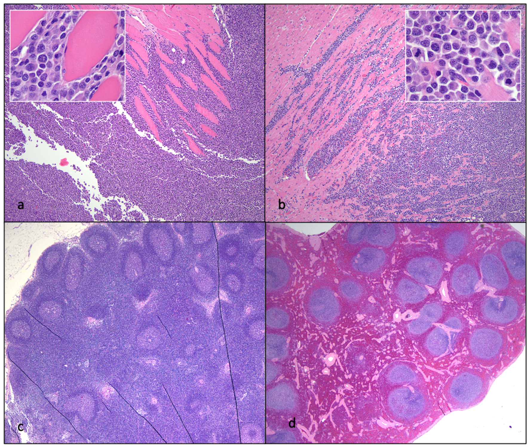 Viruses 15 01775 g012