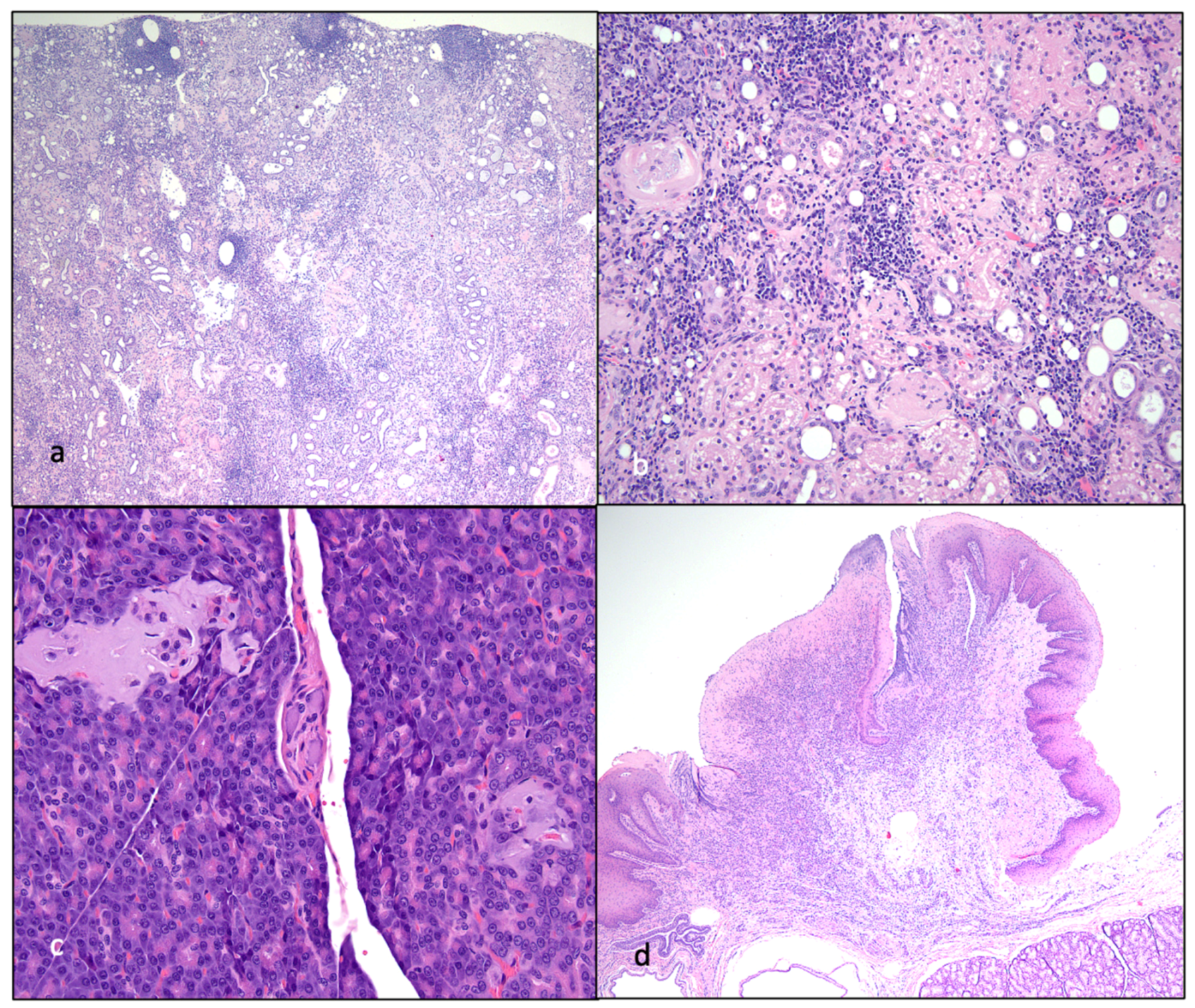 Viruses 15 01775 g013