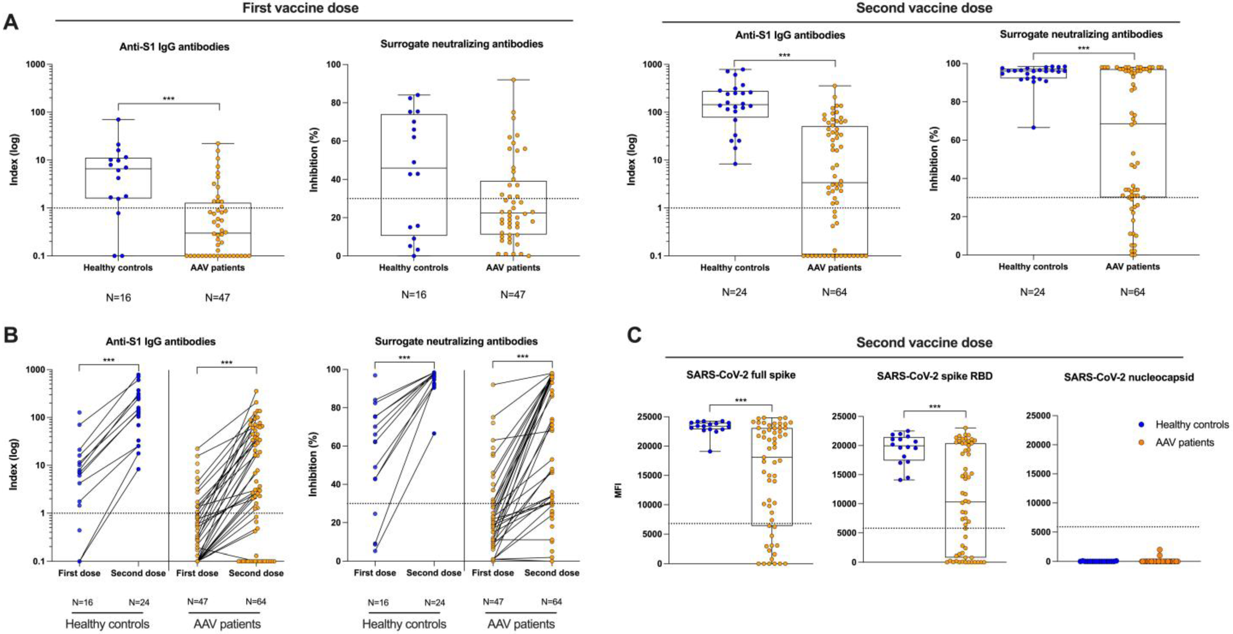Viruses 15 01778 g002