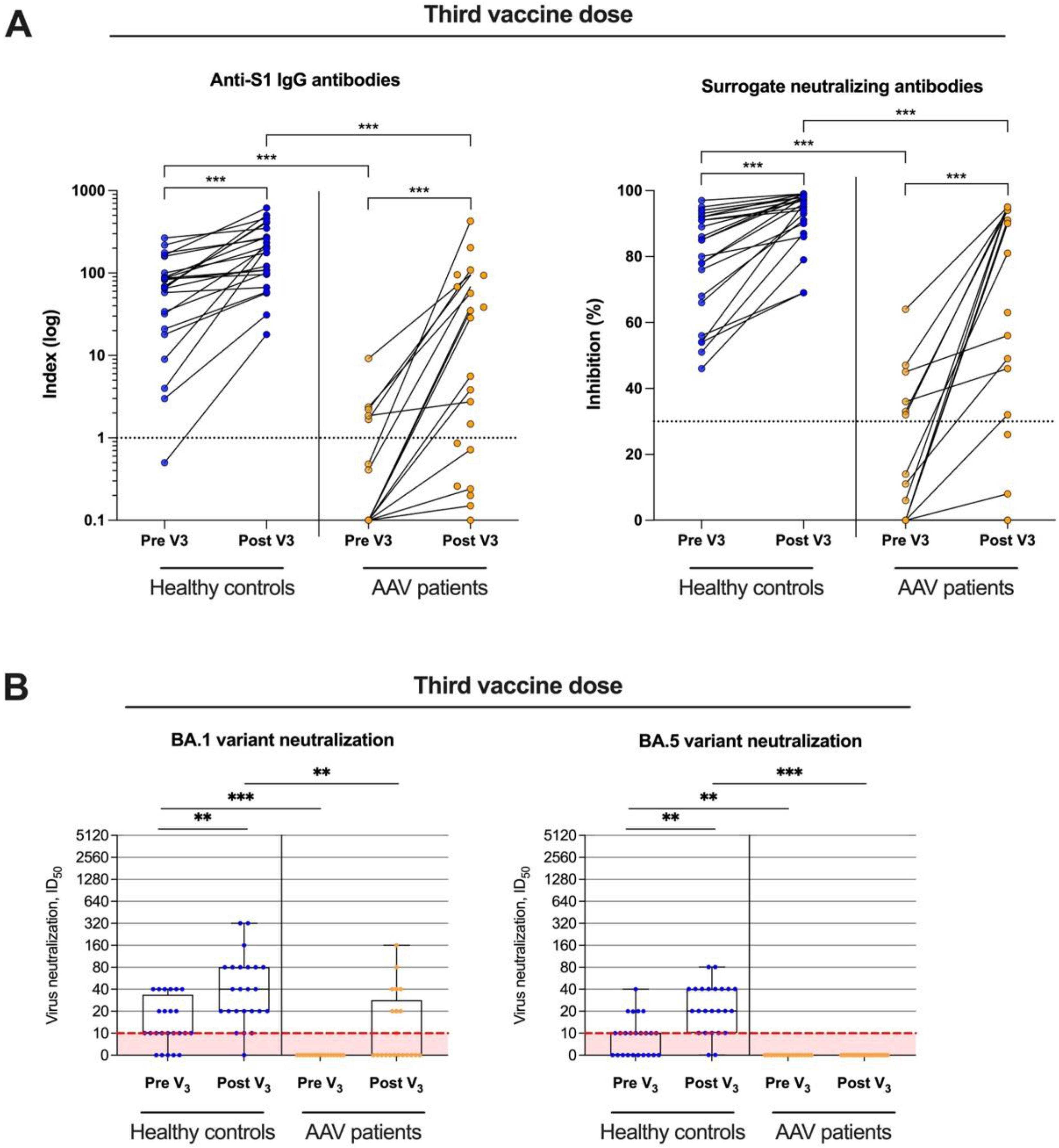 Viruses 15 01778 g004