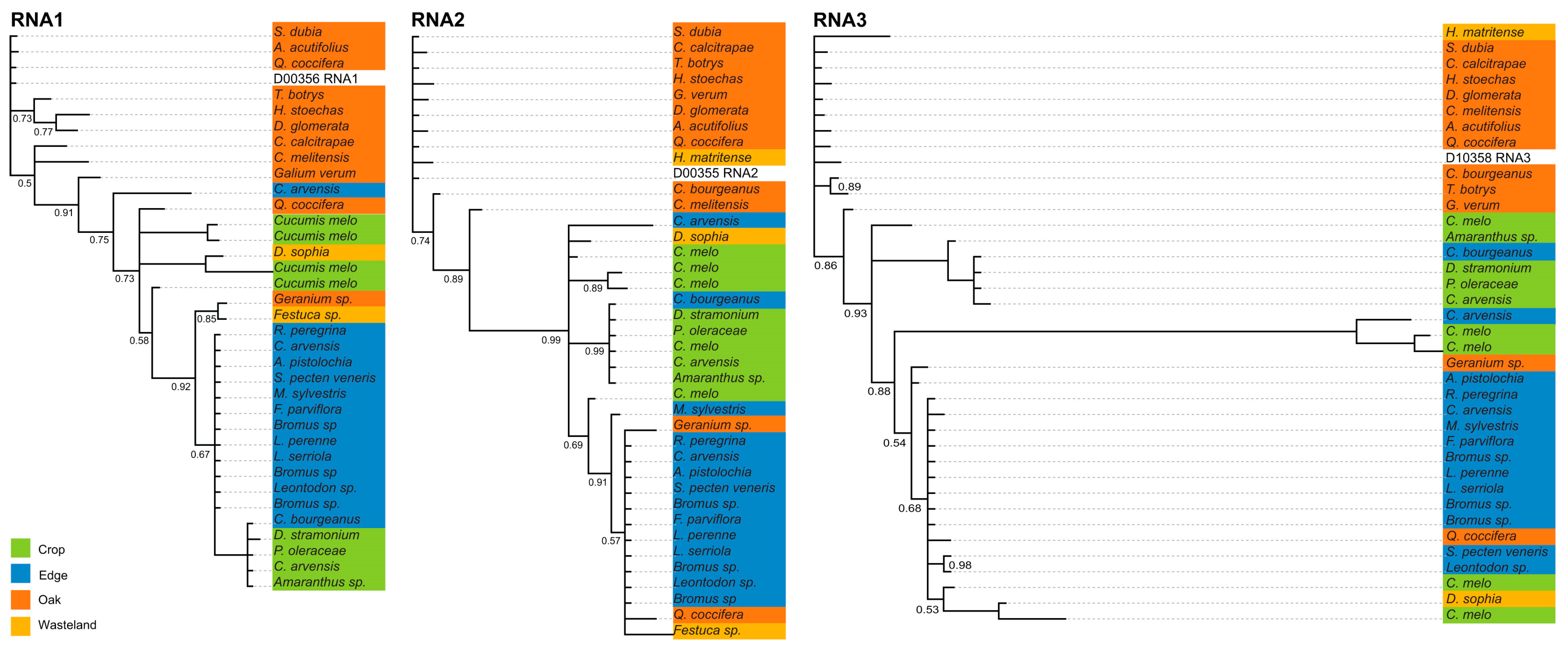 Viruses 15 01779 g004 Viruses 15 01779 g004