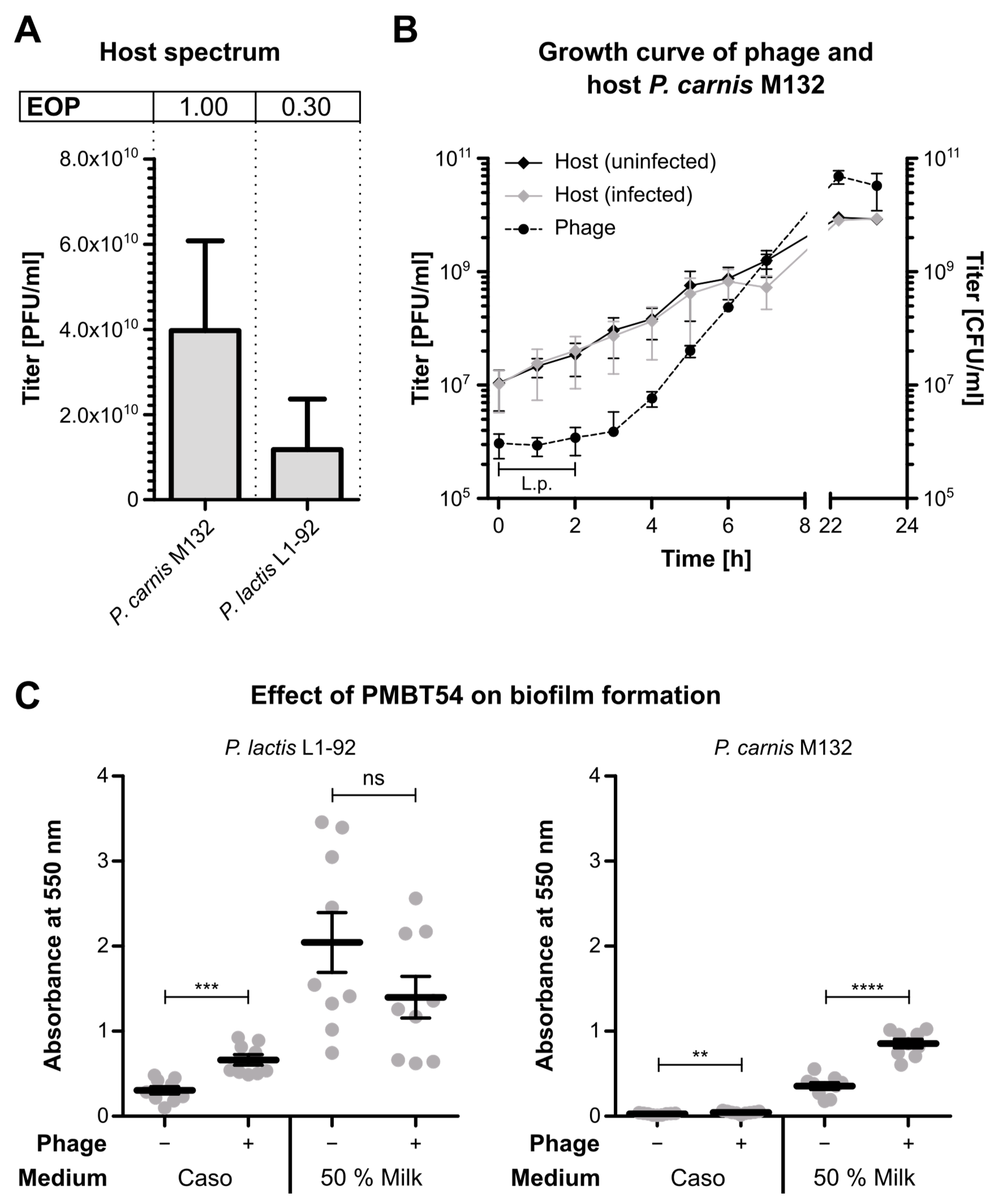 Viruses 15 01781 g002