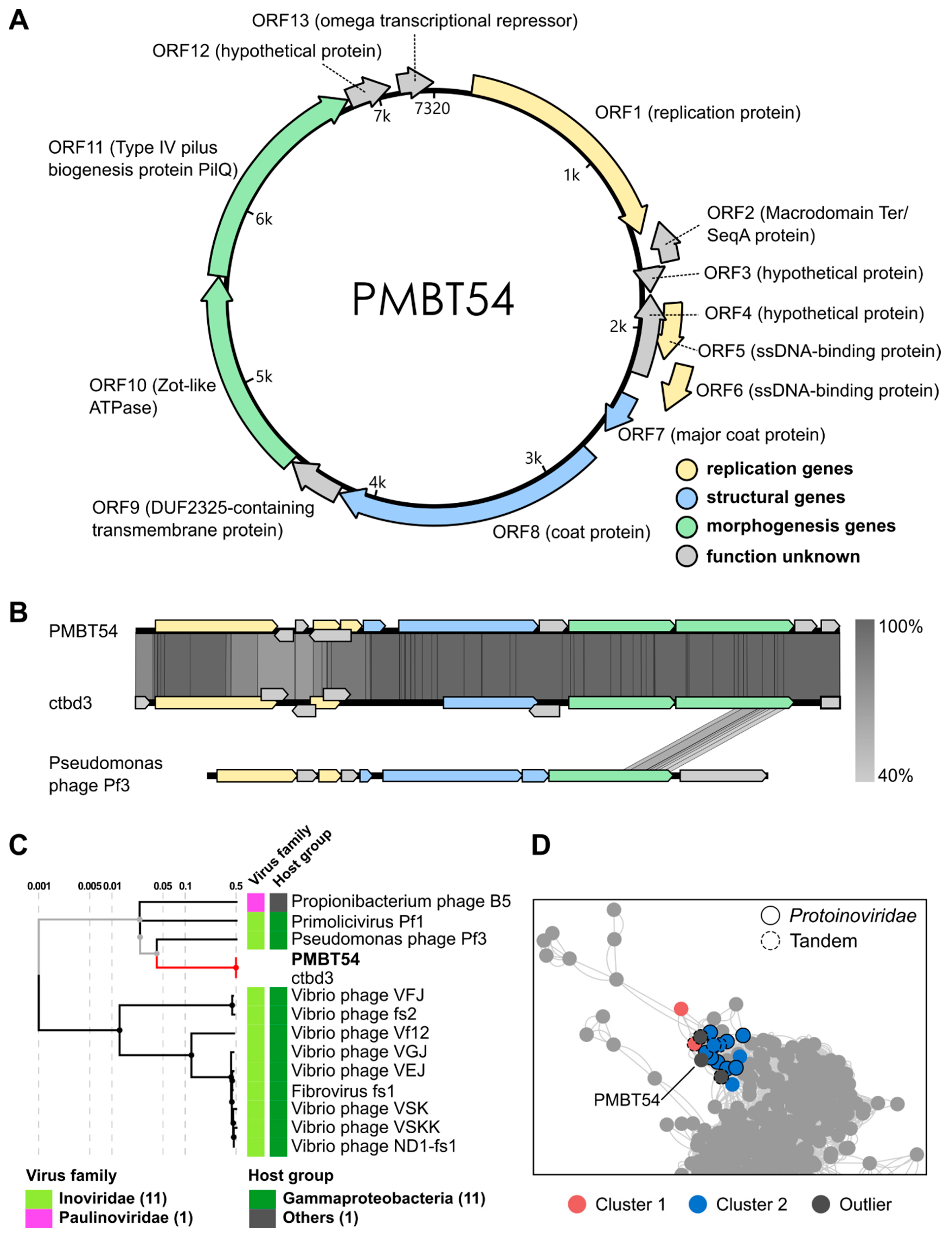 Viruses 15 01781 g003