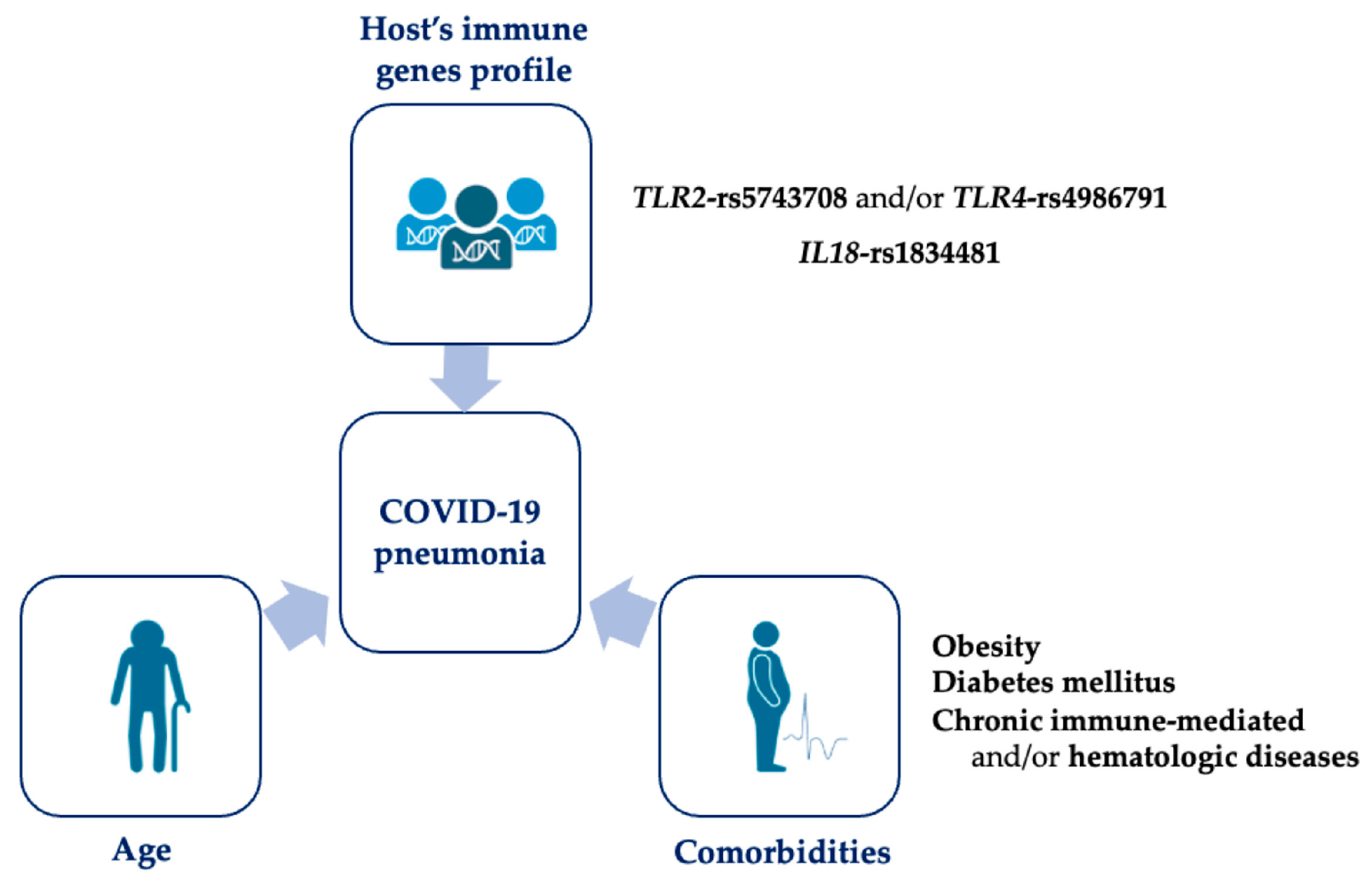 Viruses 15 01784 g001
