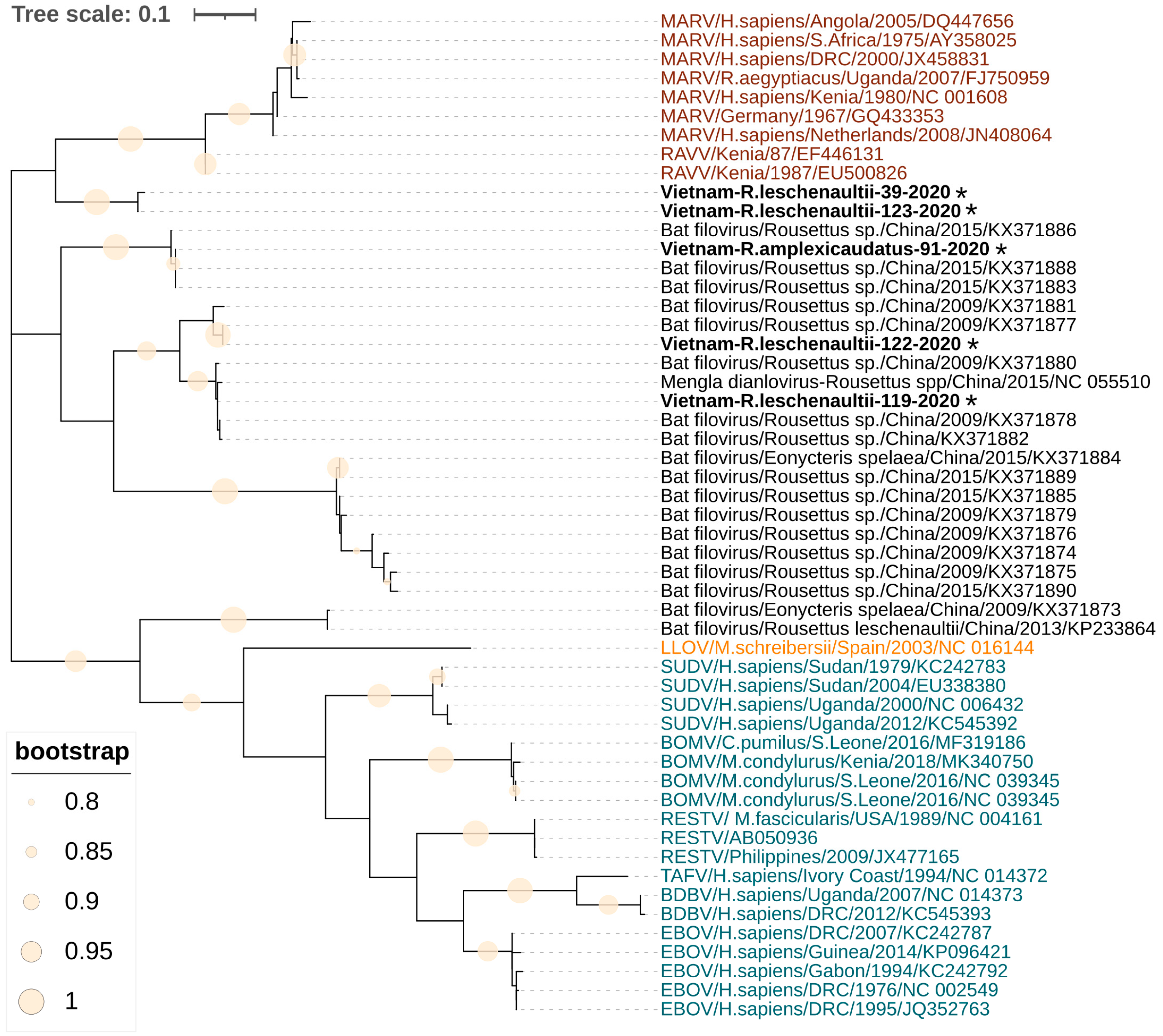 Viruses 15 01785 g001