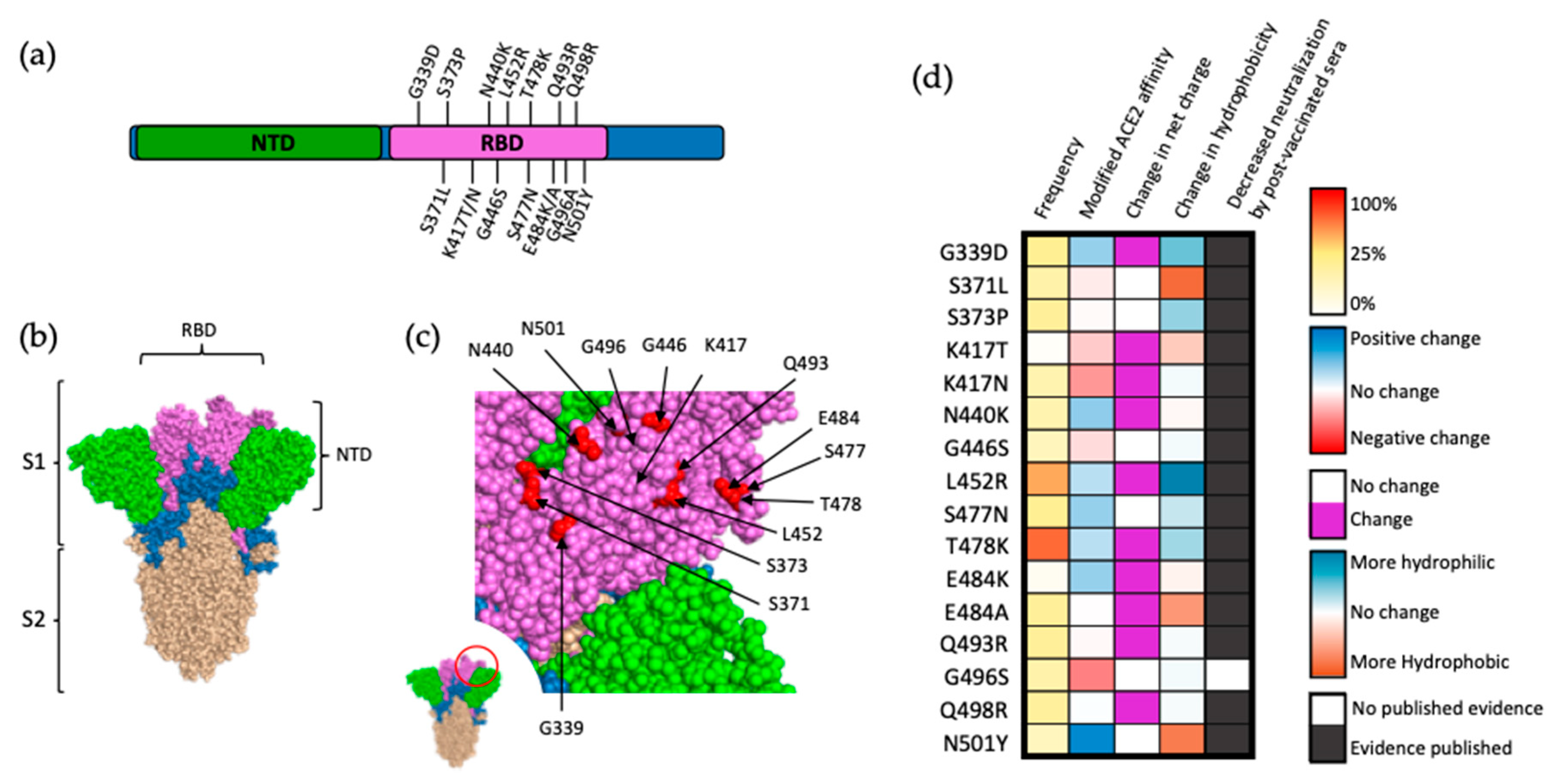 Viruses 15 01787 g003