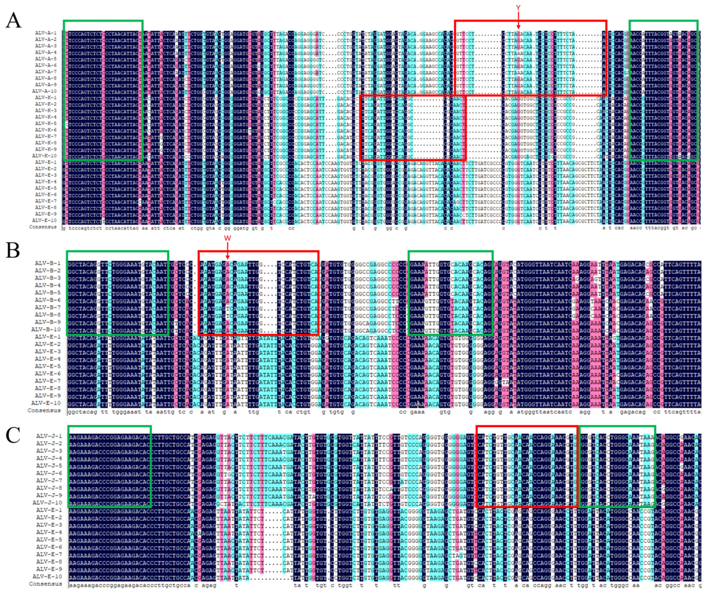Viruses 15 01789 g001