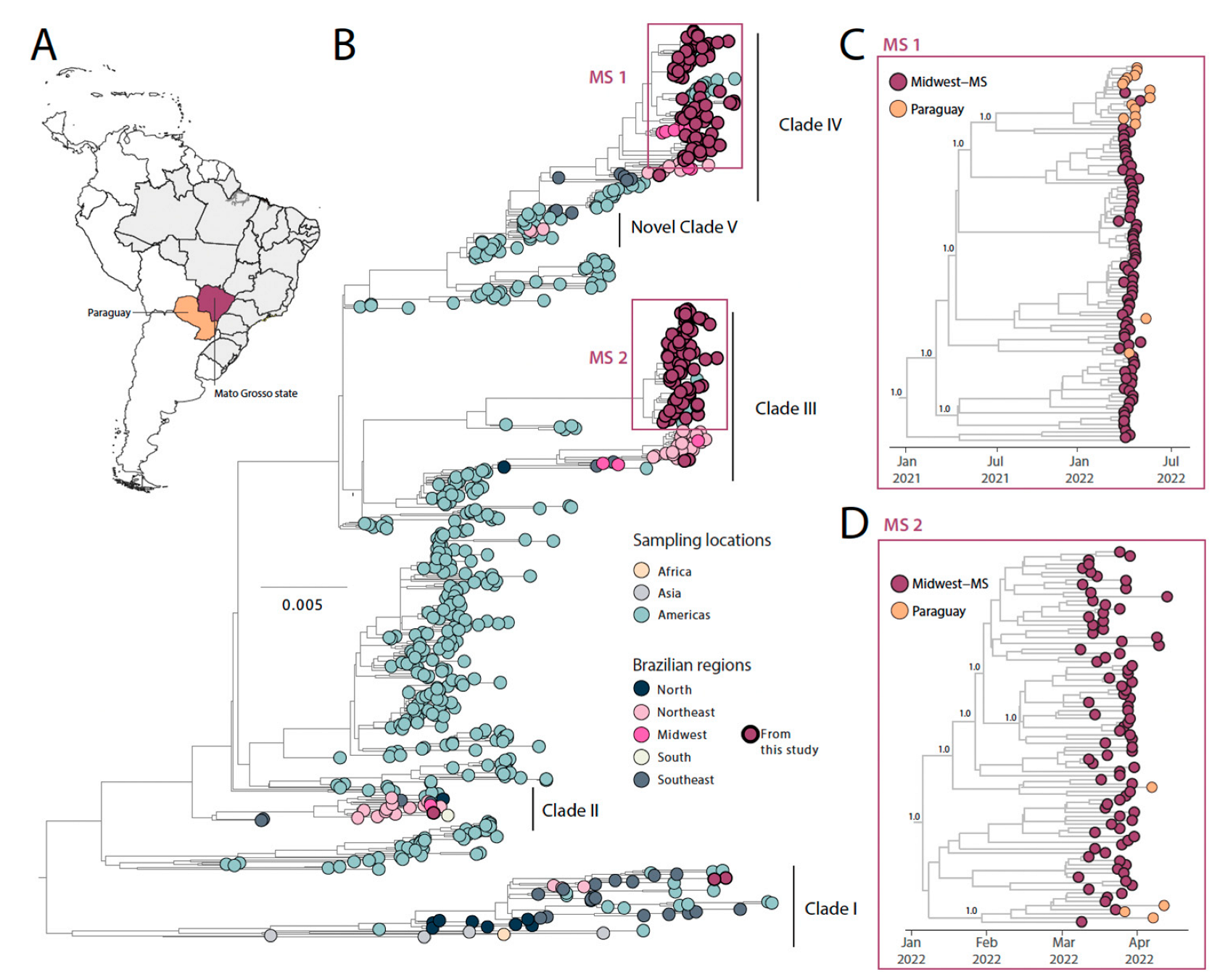Viruses 15 01790 g003