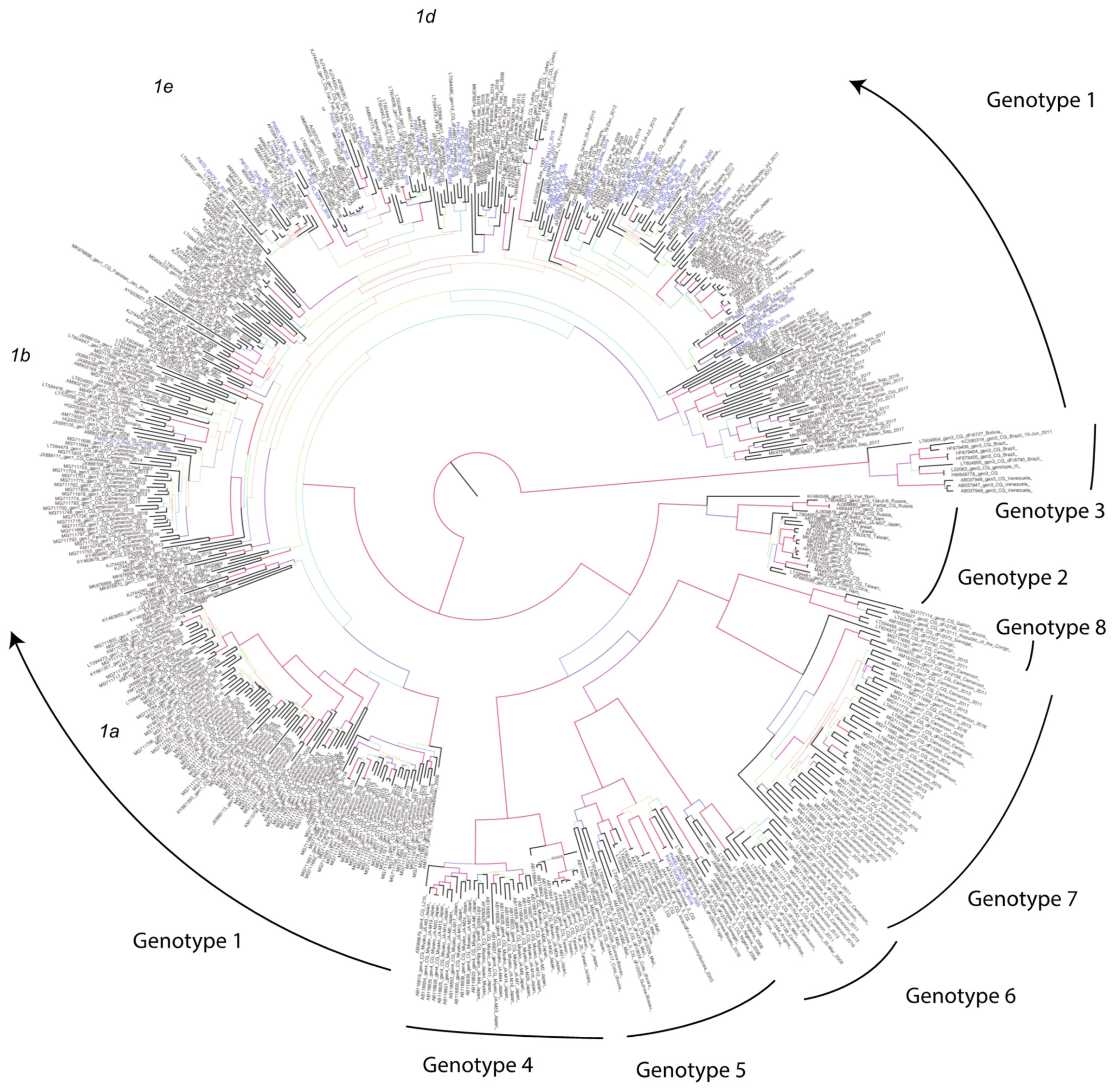 Viruses 15 01791 g001 Viruses 15 01791 g001