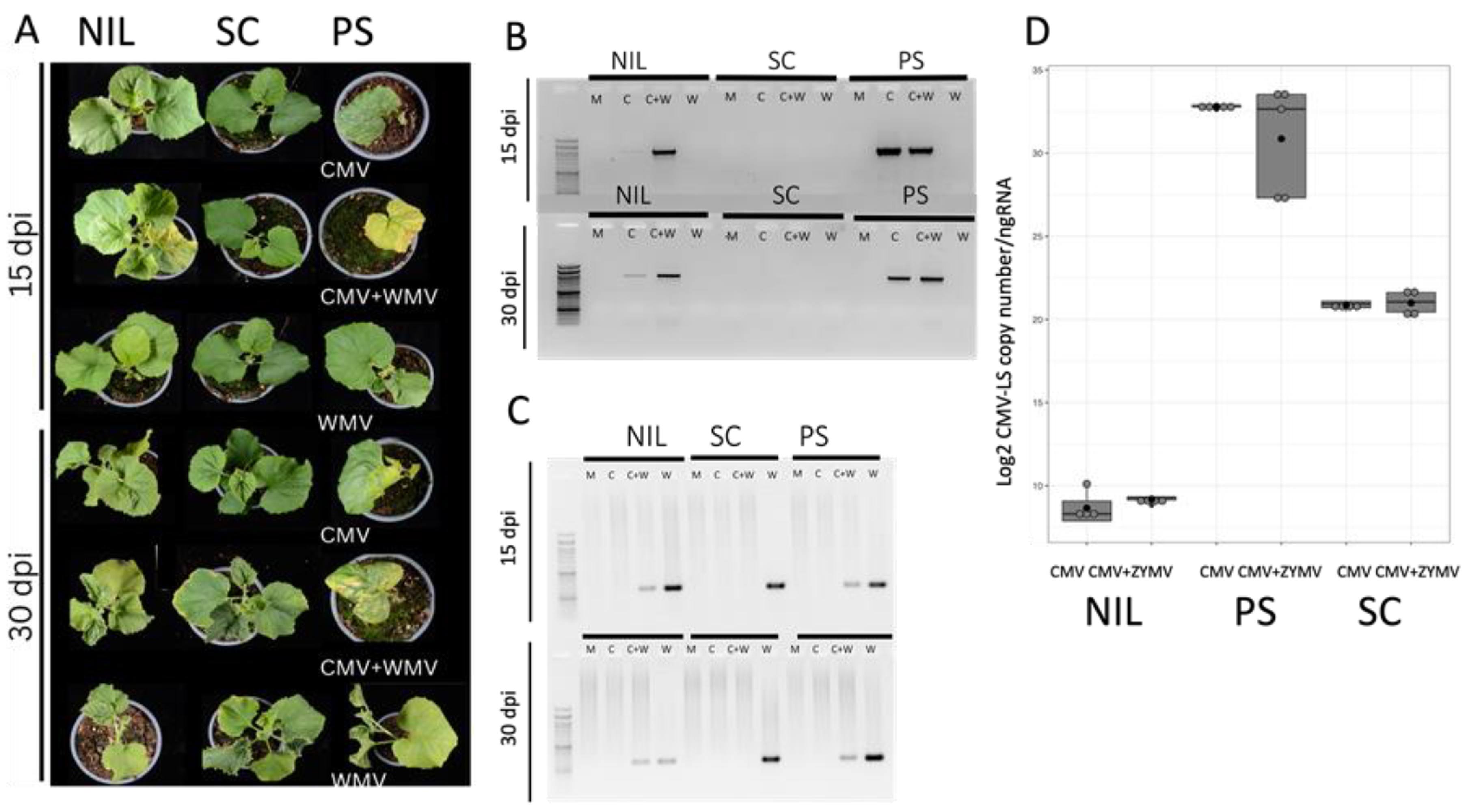 Viruses 15 01792 g002