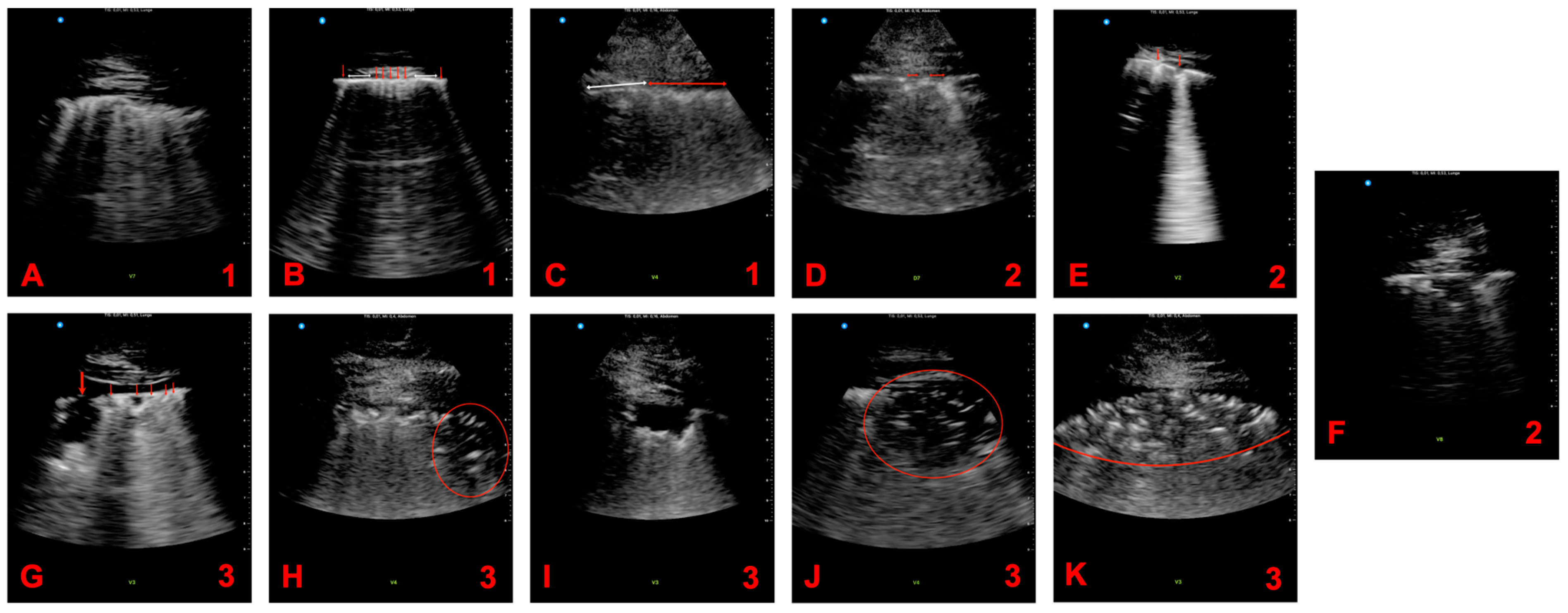 Viruses 15 01796 g002
