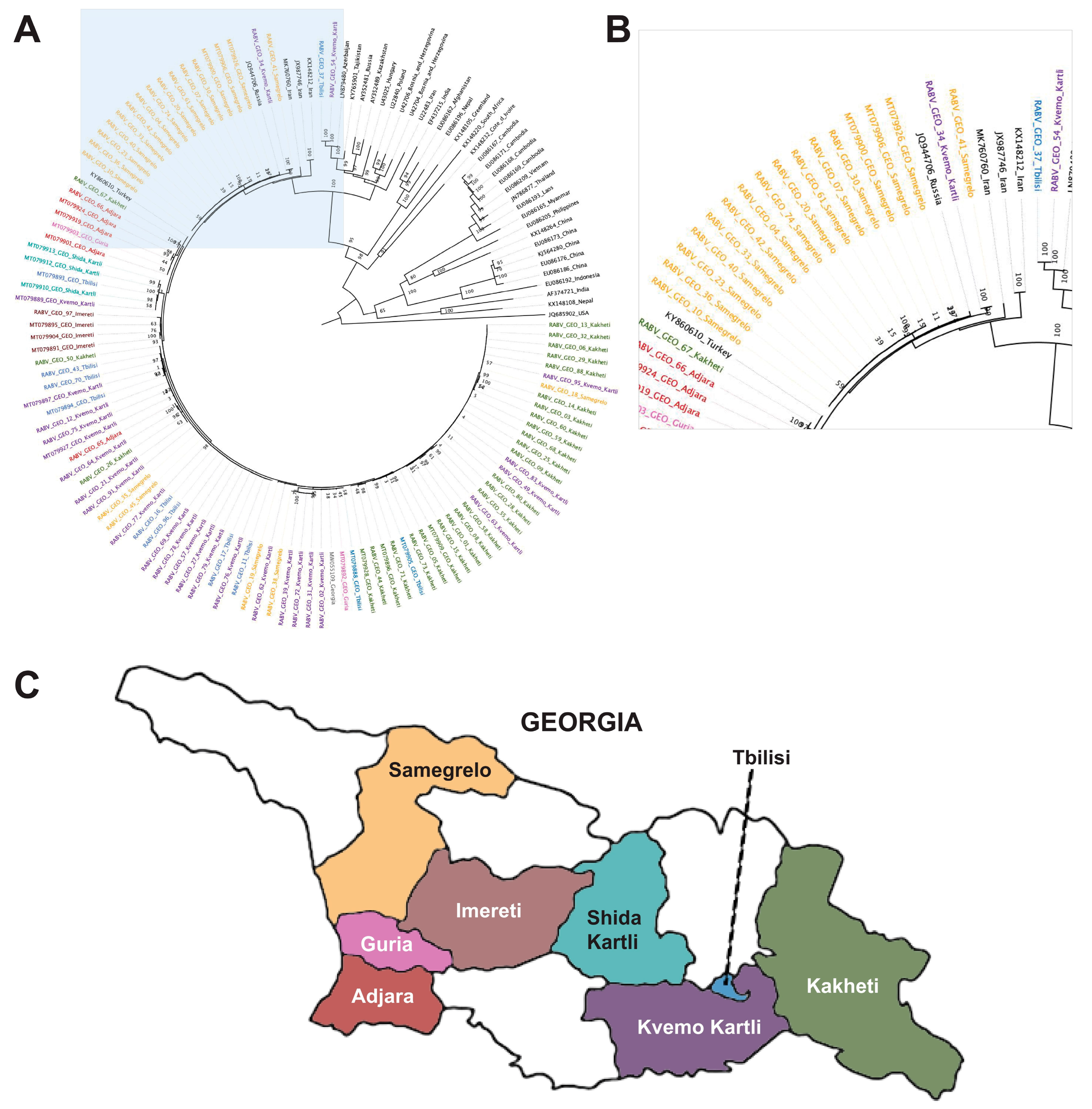 Viruses 15 01797 g001