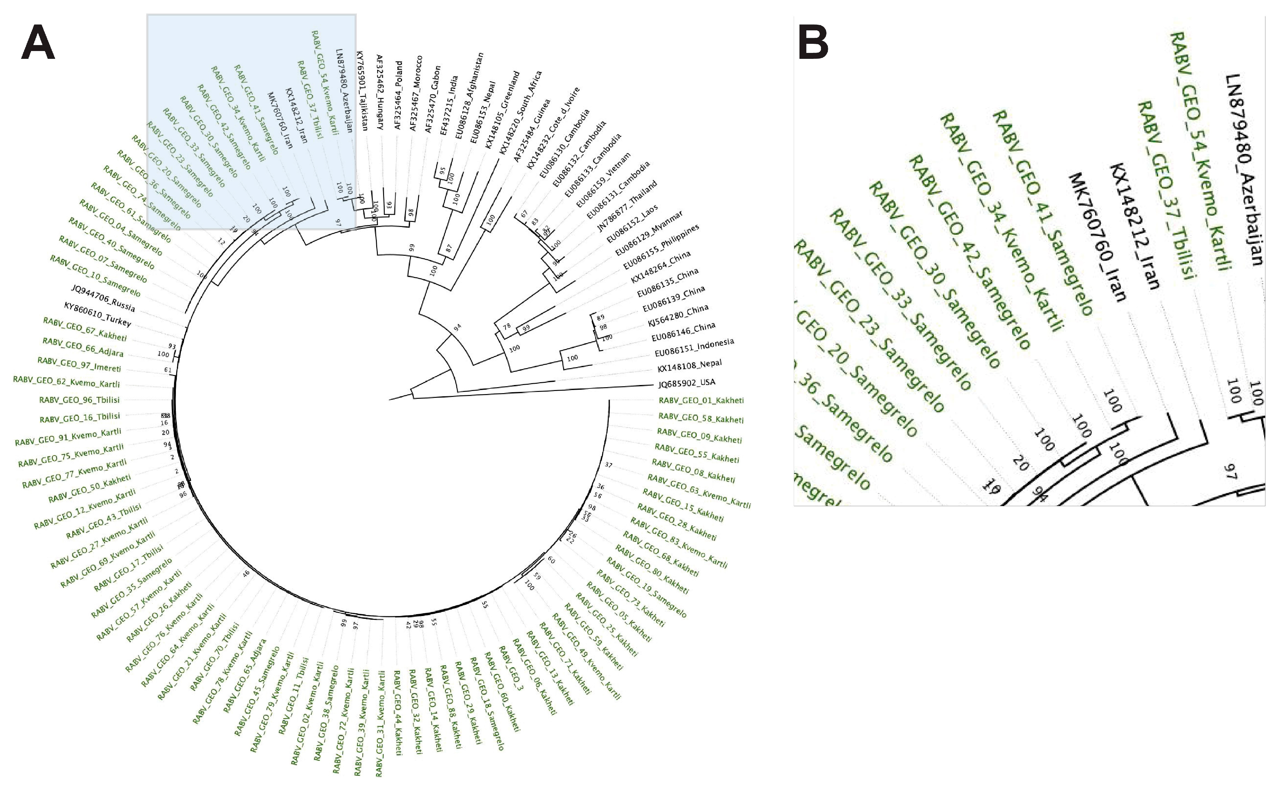 Viruses 15 01797 g002