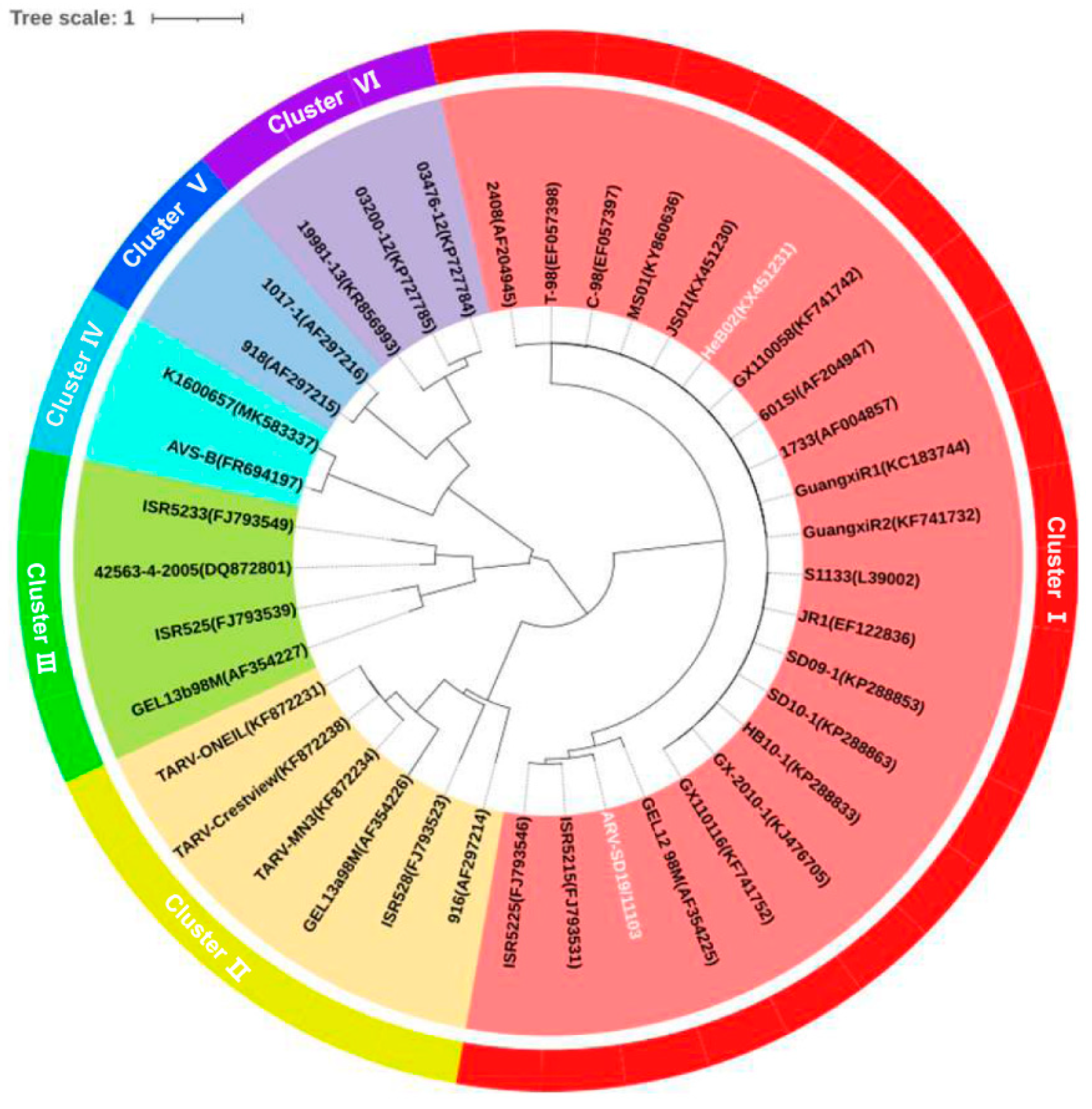 Viruses 15 01800 g003