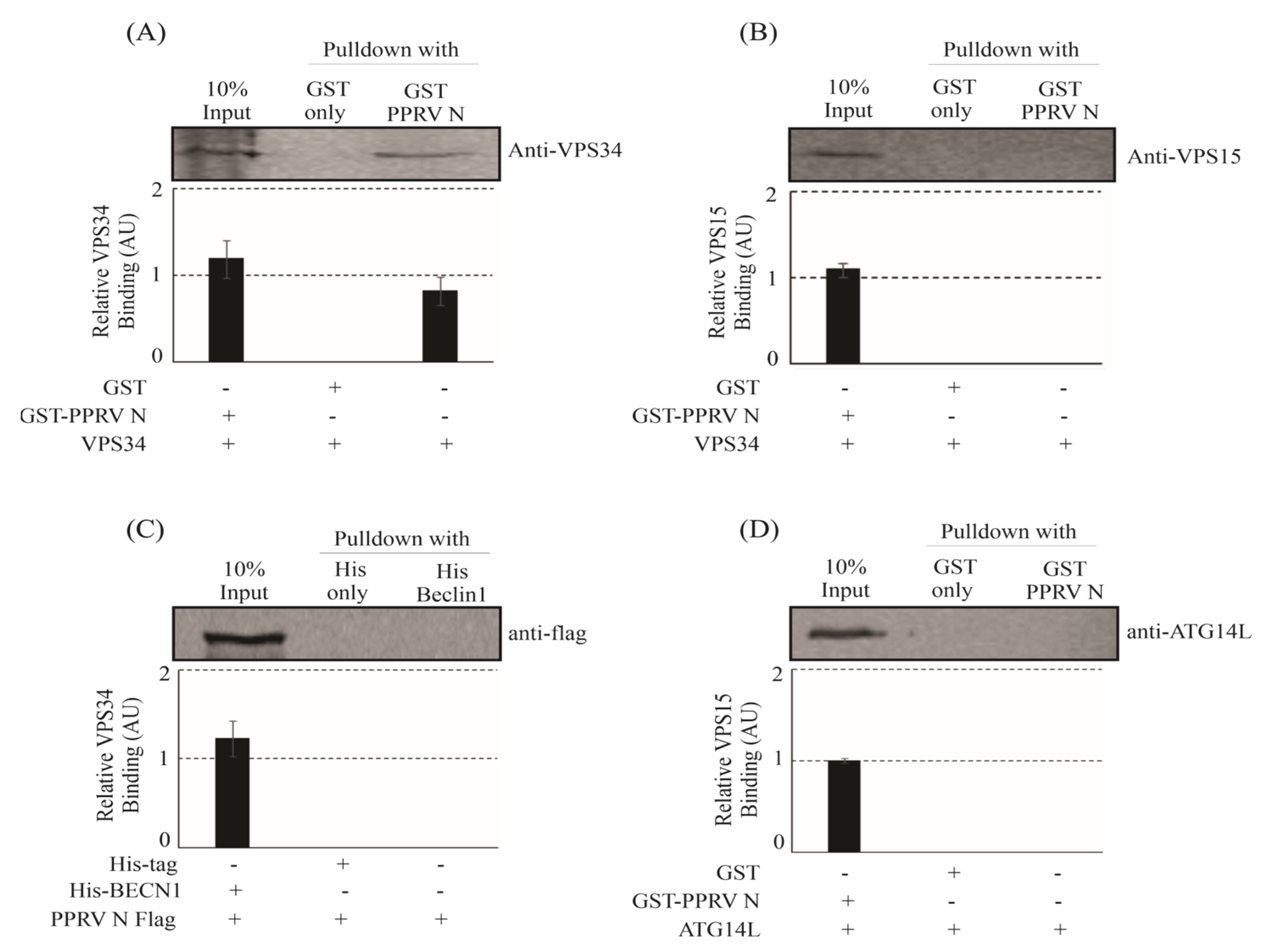 Viruses 15 01805 g001