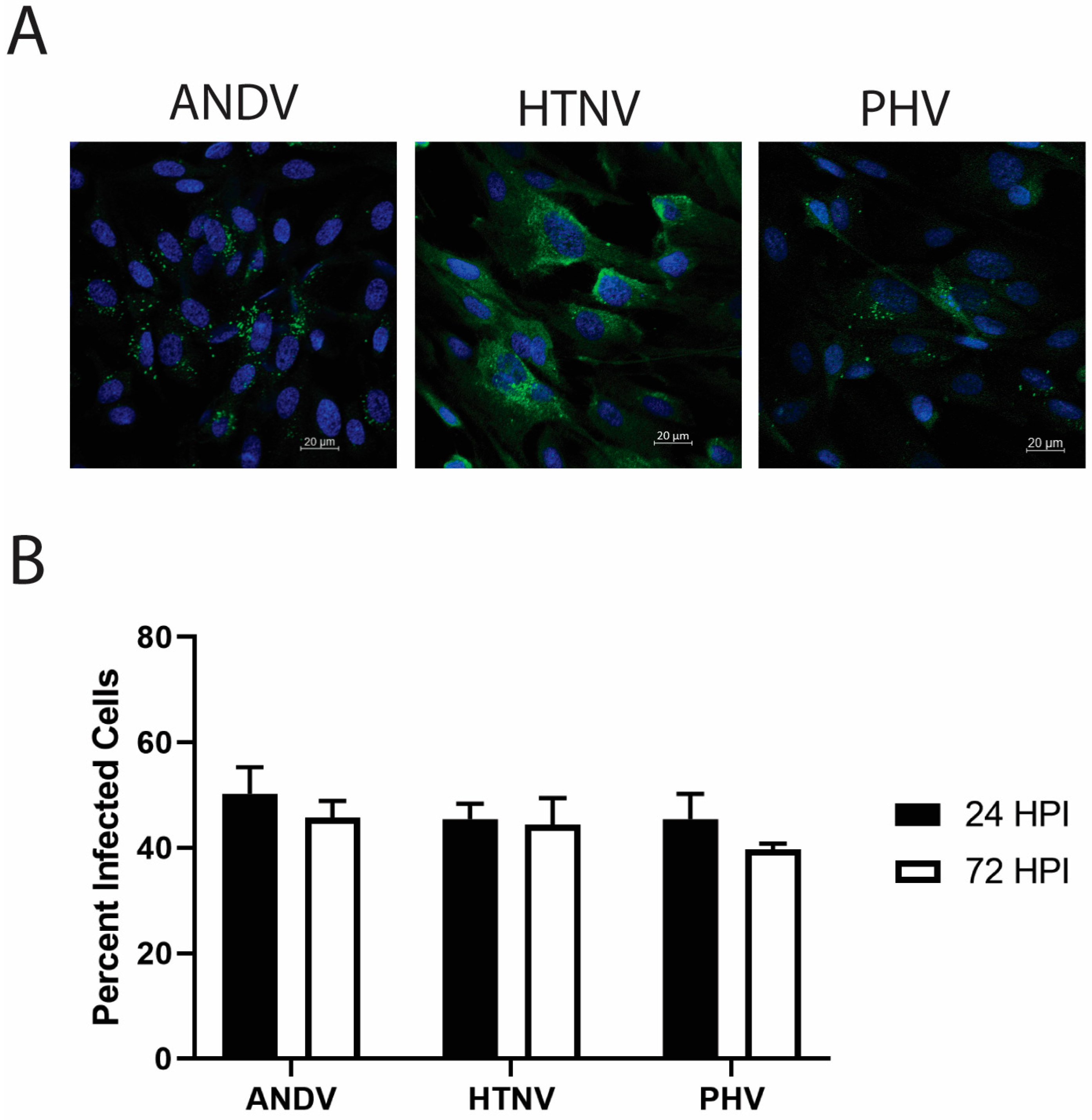 Viruses 15 01806 g001