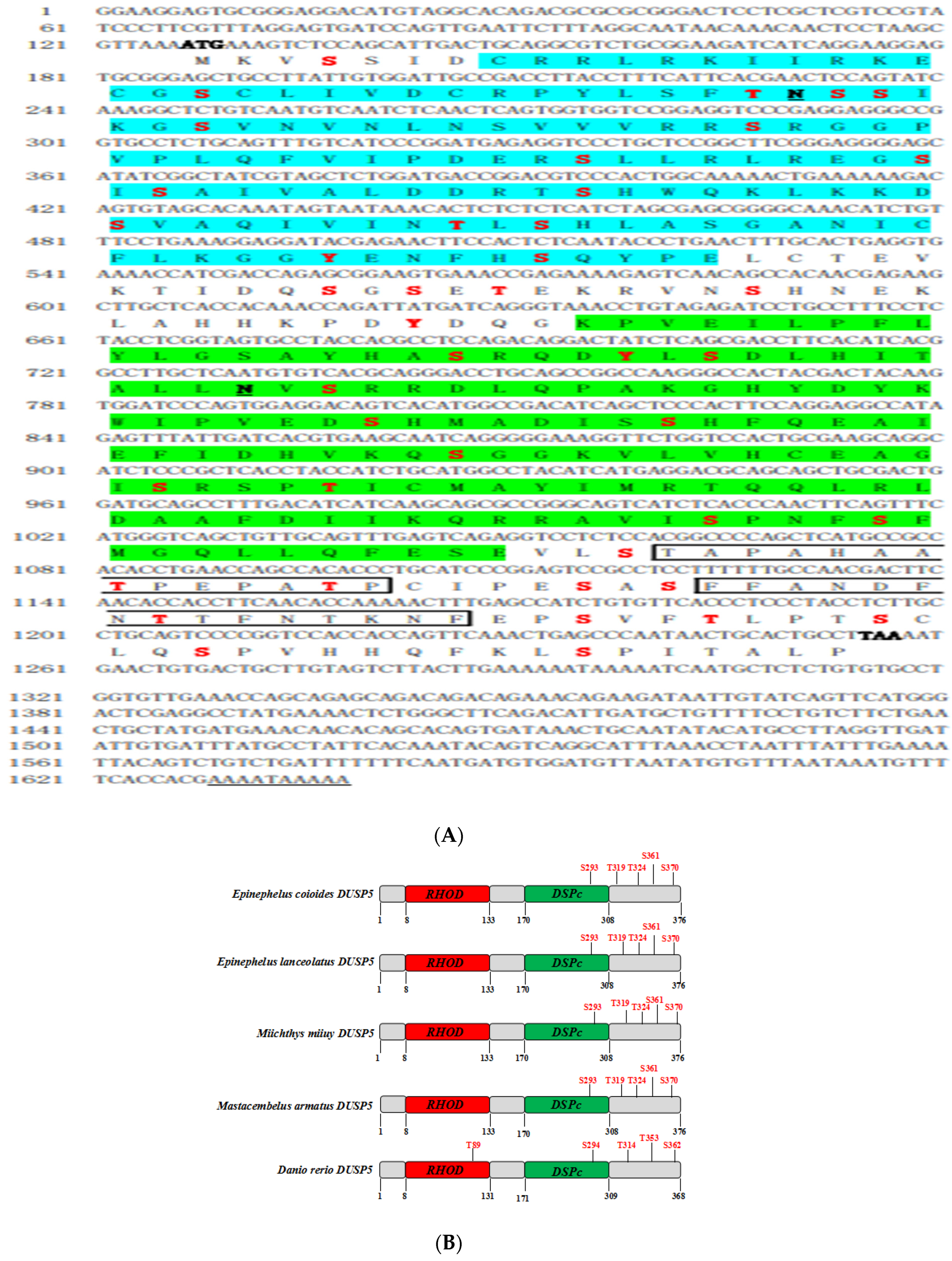 Viruses 15 01807 g001a Viruses 15 01807 g001a