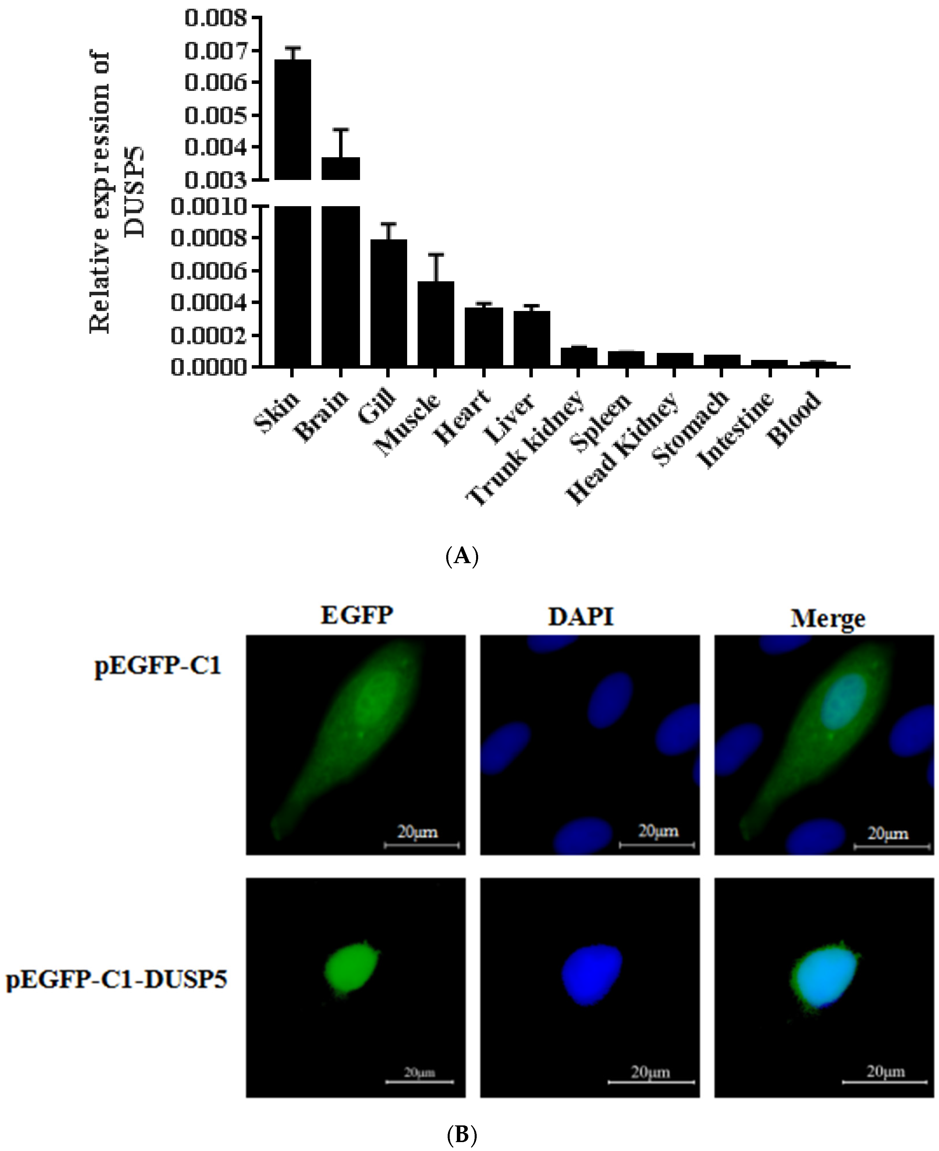 Viruses 15 01807 g002 Viruses 15 01807 g002