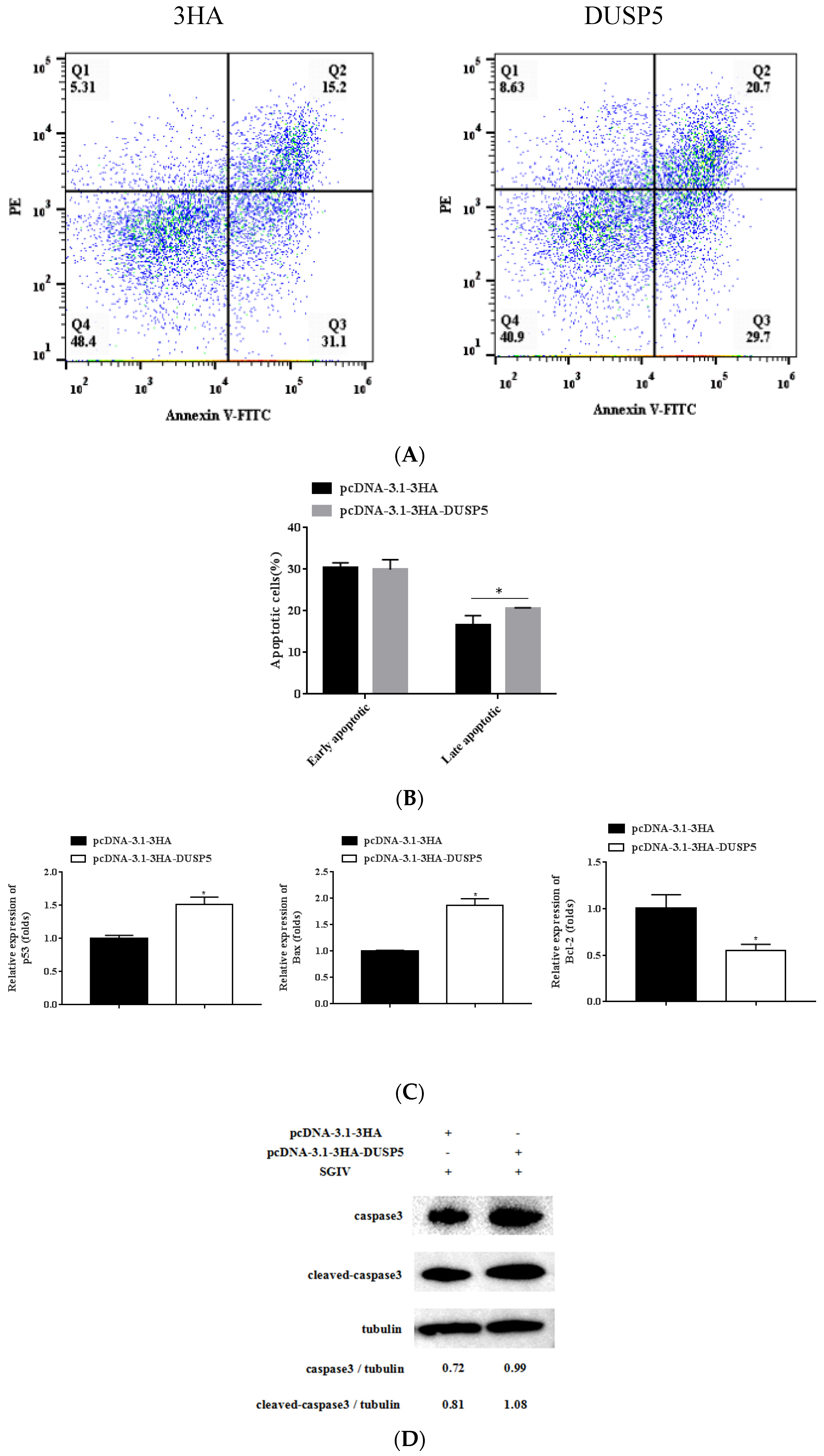 Viruses 15 01807 g007 Viruses 15 01807 g007
