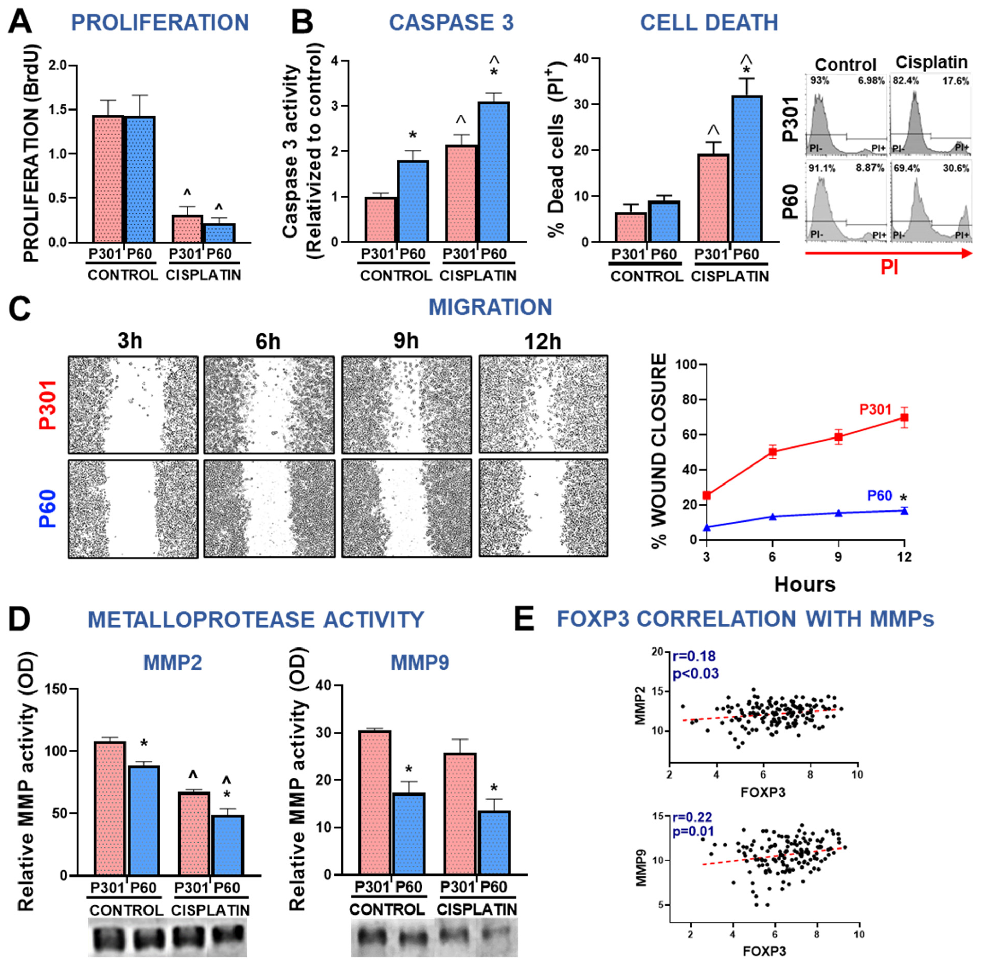 Viruses 15 01813 g005 Viruses 15 01813 g005