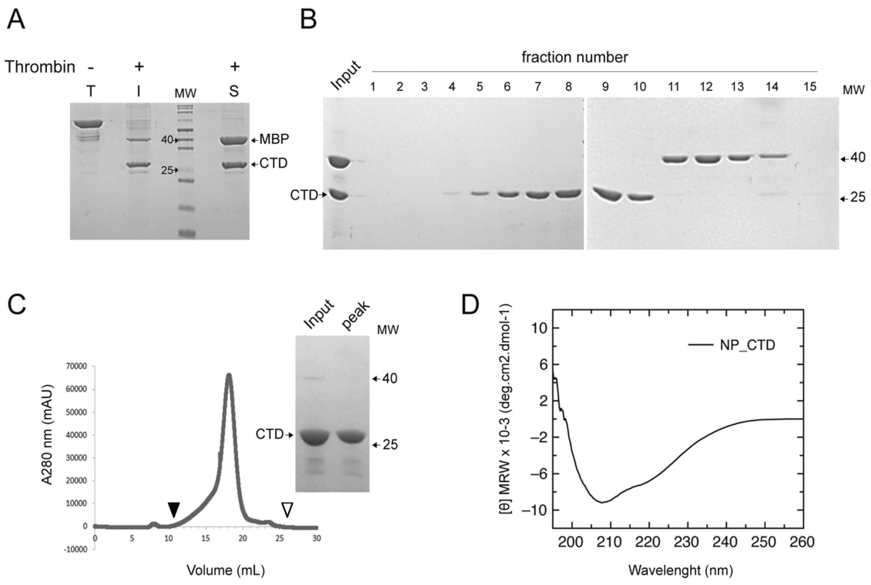 Viruses 15 01818 g001