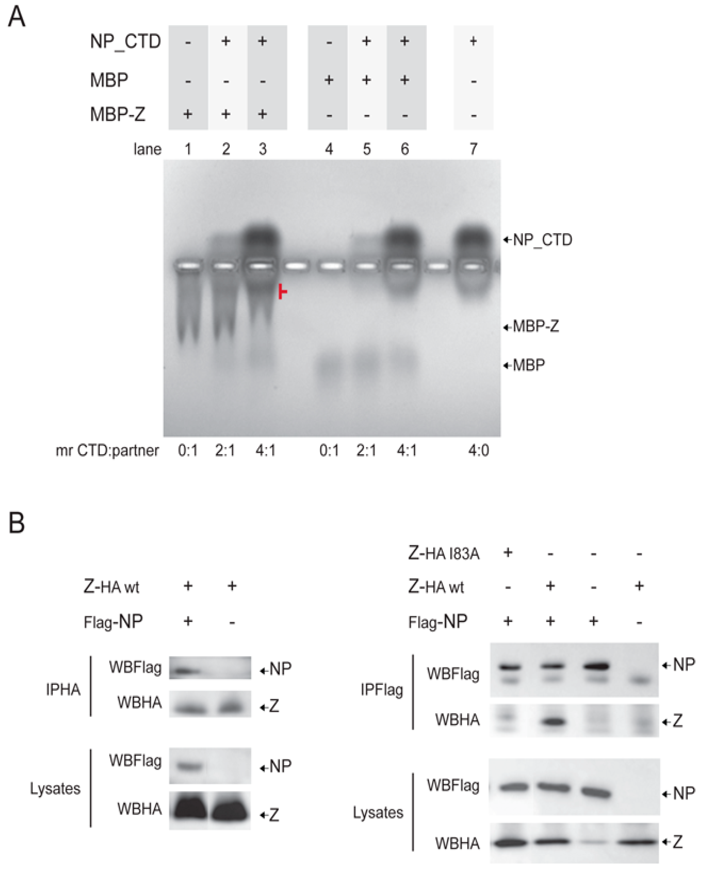 Viruses 15 01818 g002